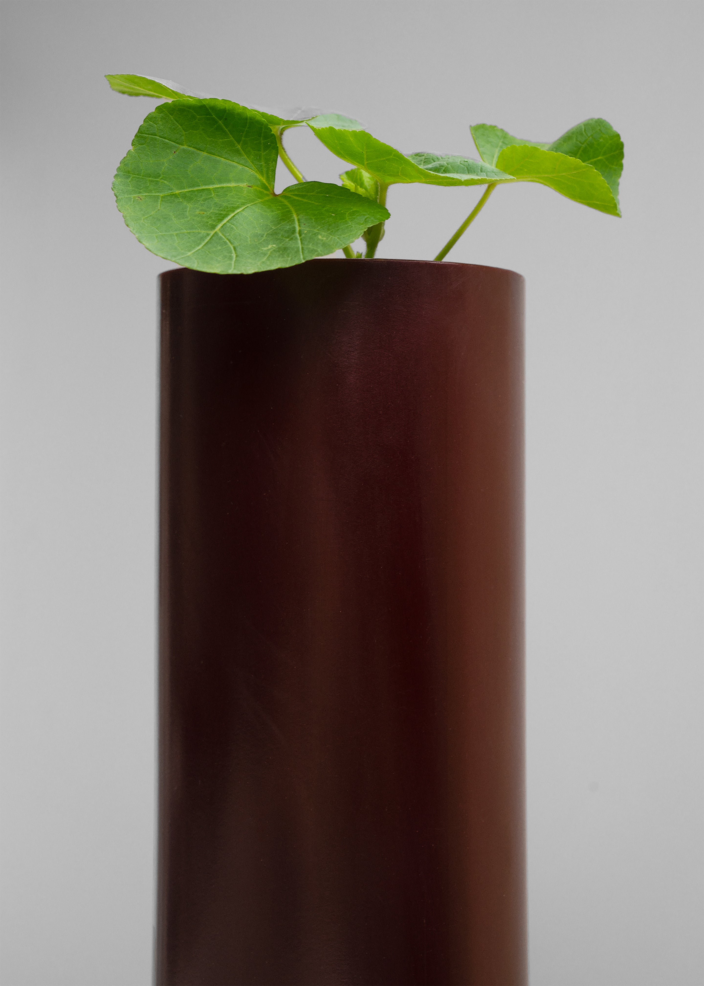 Ann Vincent Cave Vase - Burgundy - 3