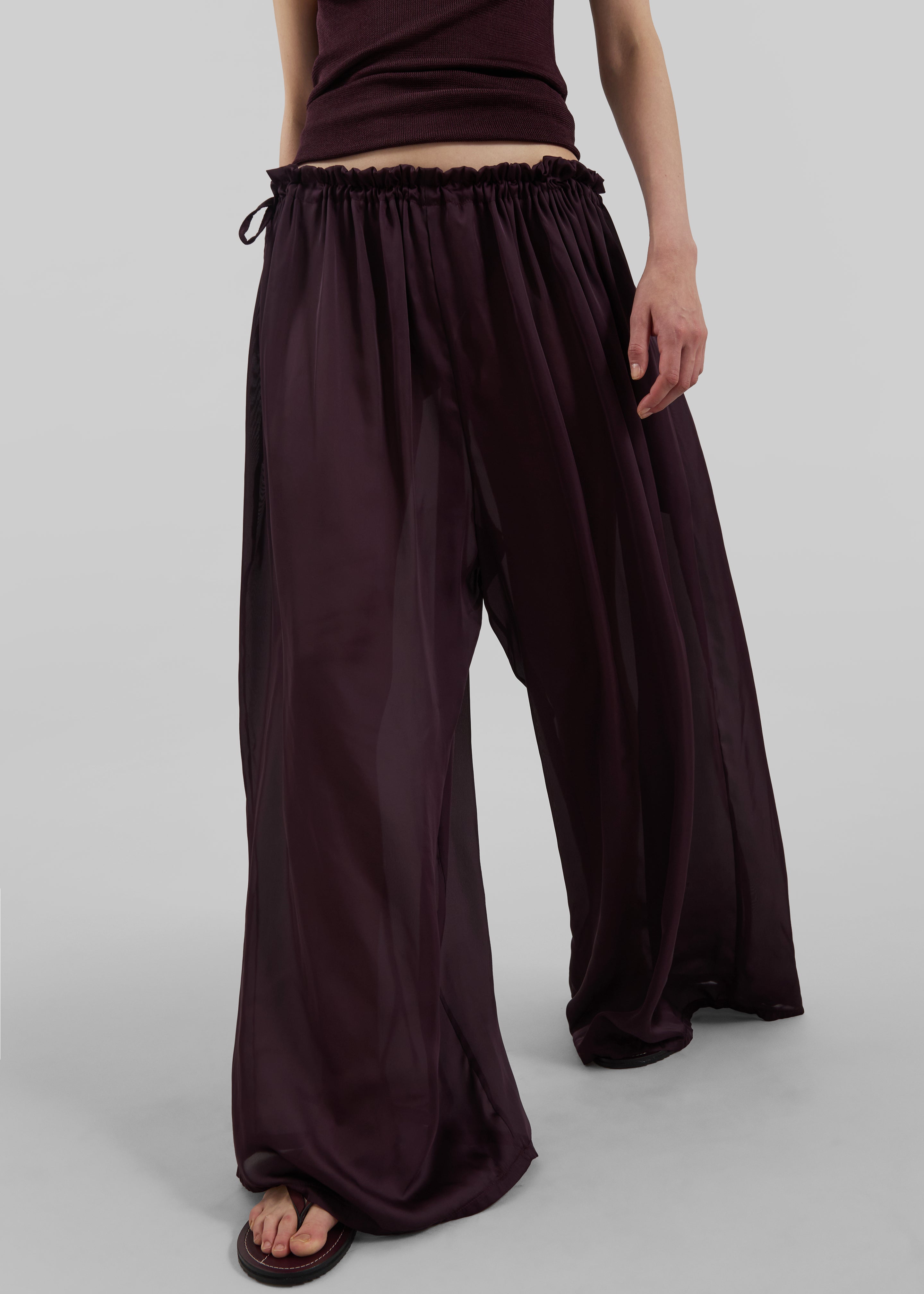 Arleth Satin Sheer Drawstring Pants - Plum - 2