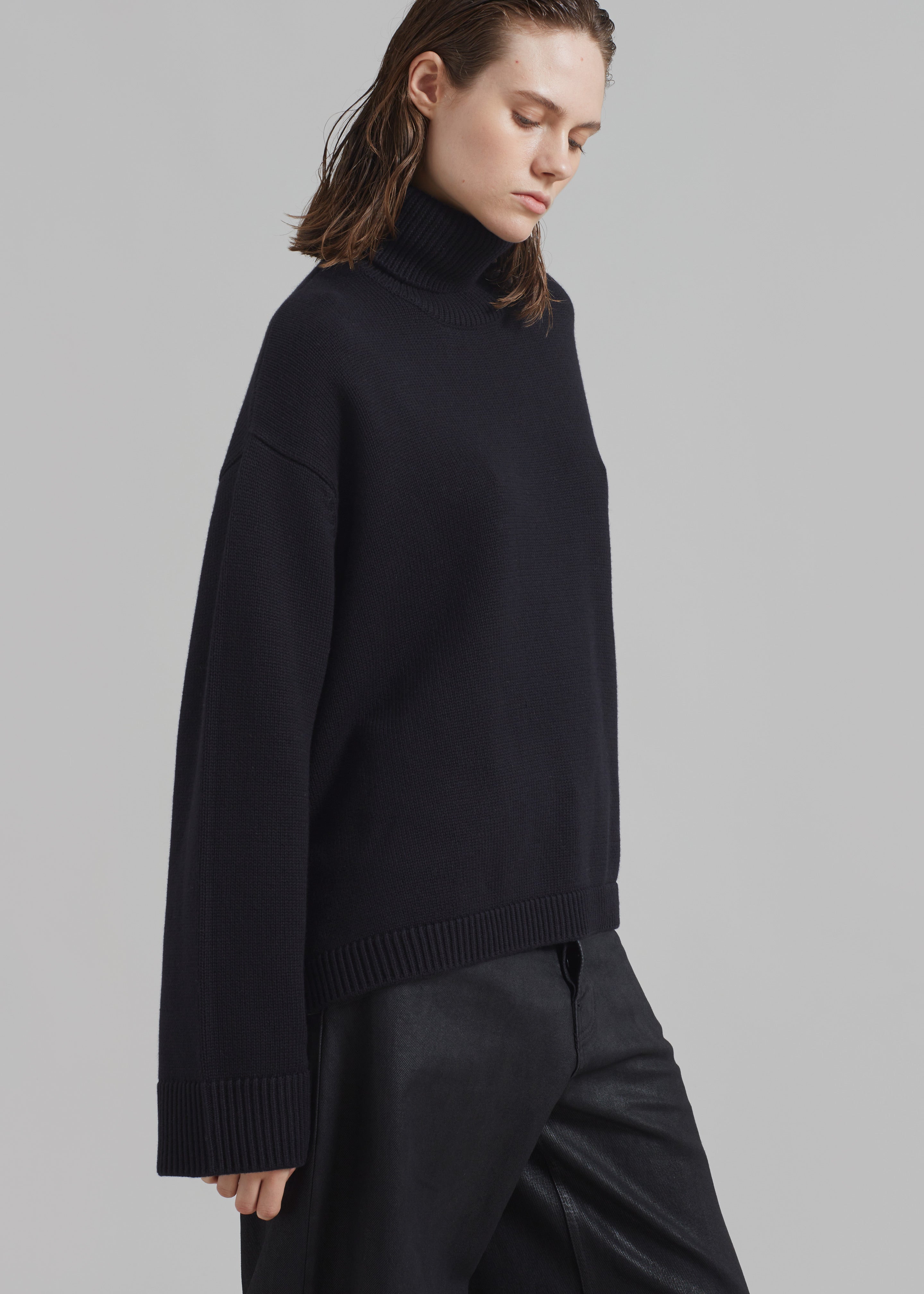 Rhea Trapeze Turtleneck - Black - 10