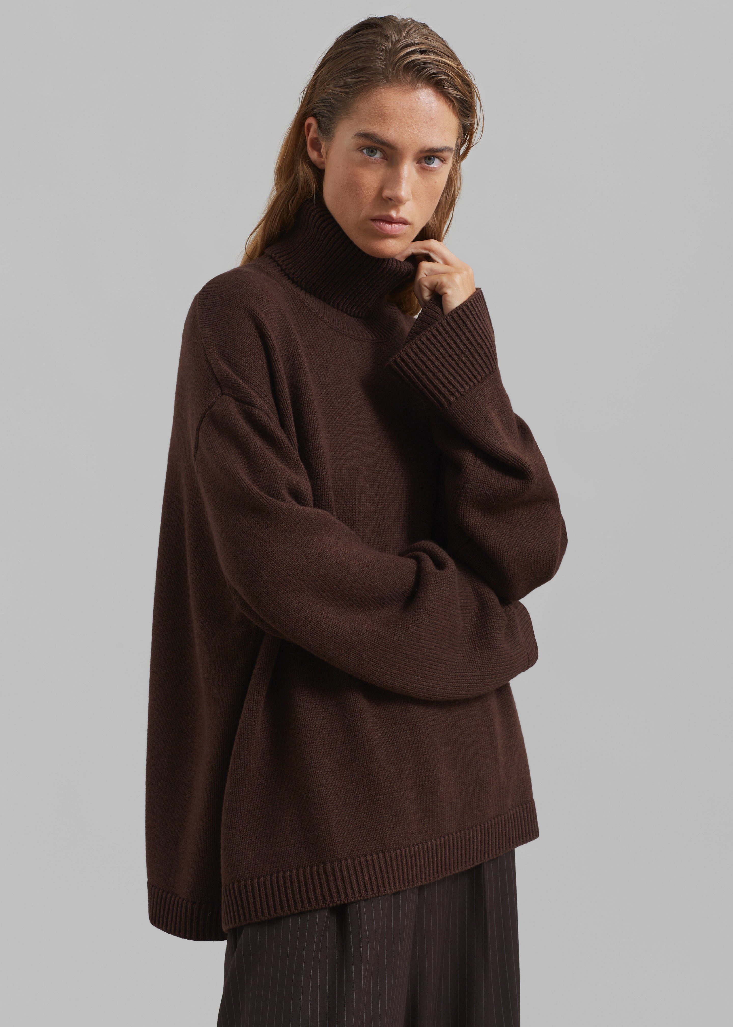 Rhea Trapeze Turtleneck - Brown - 1