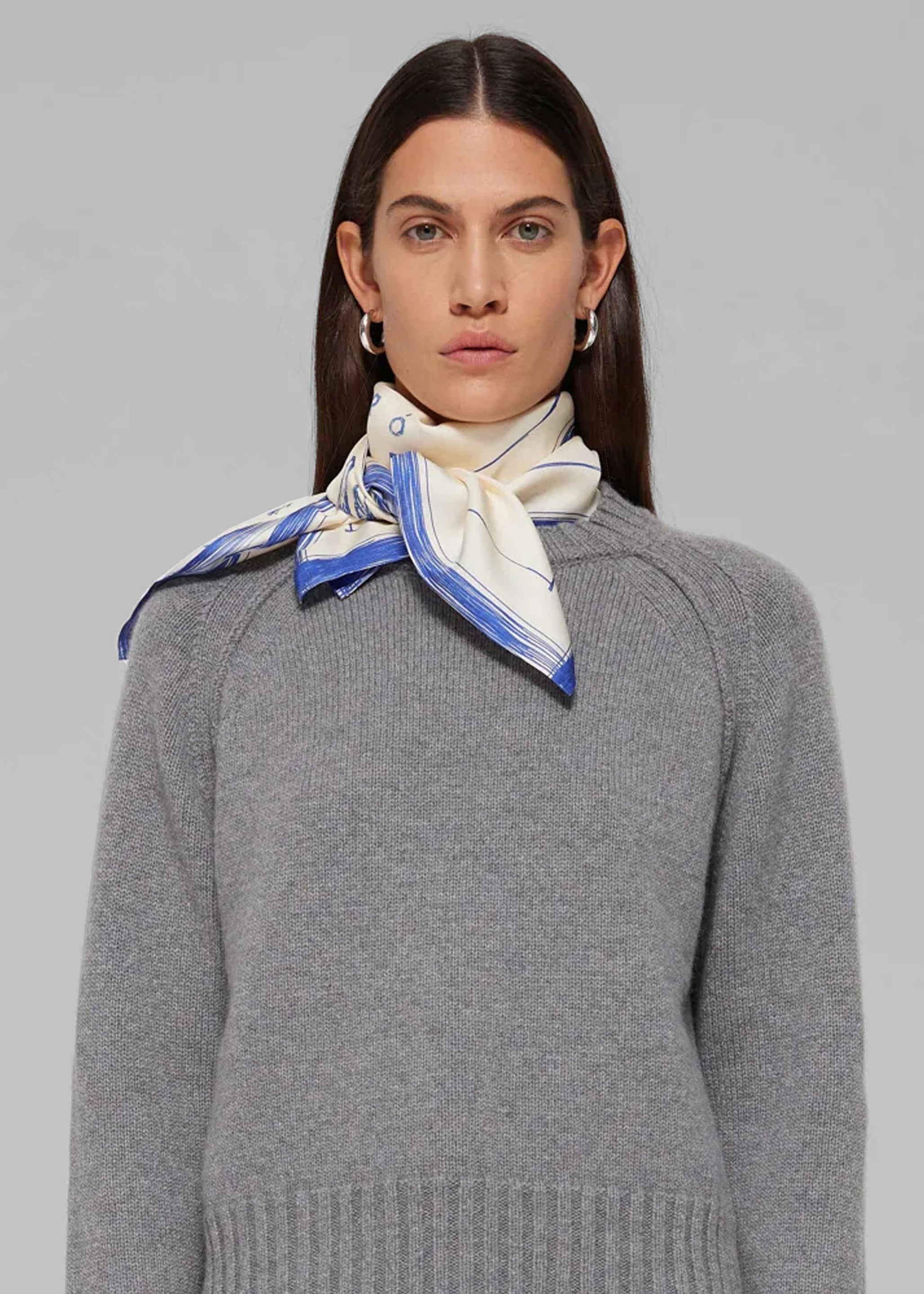 Róhe Silk Ballpoint Horse Scarf - Horse Print Ballpoint Blue - 1