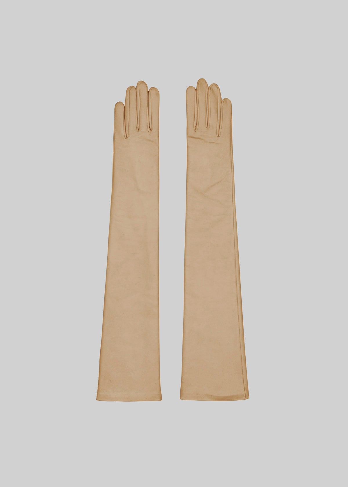 Veneto Long Leather Gloves - Oat - 2