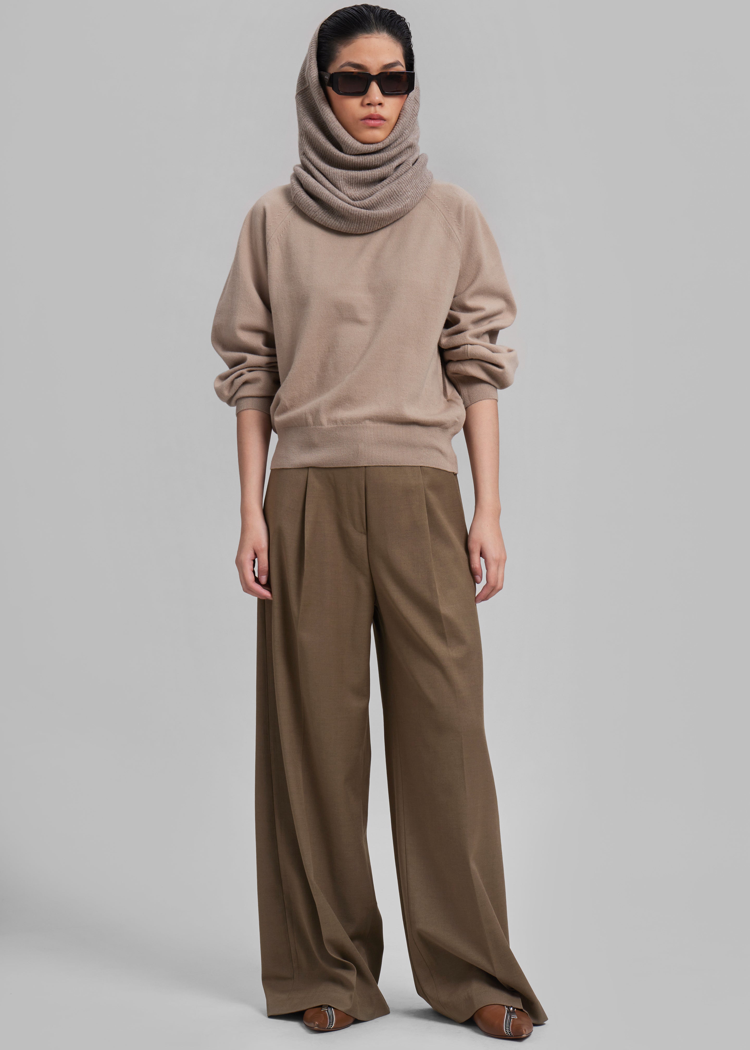 Dariel Pleated Trousers - Taupe - 5