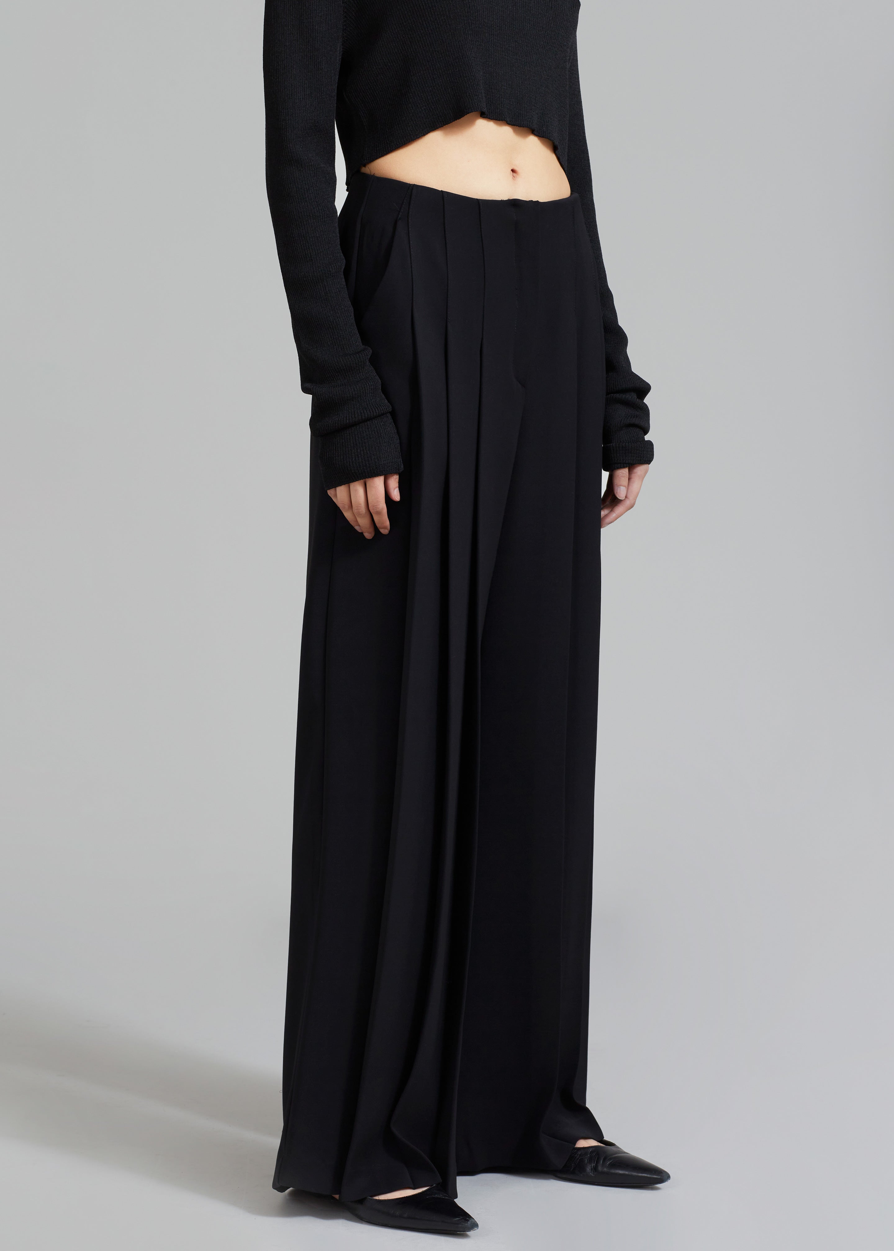 Dillon Pleated Pants - Black - 5