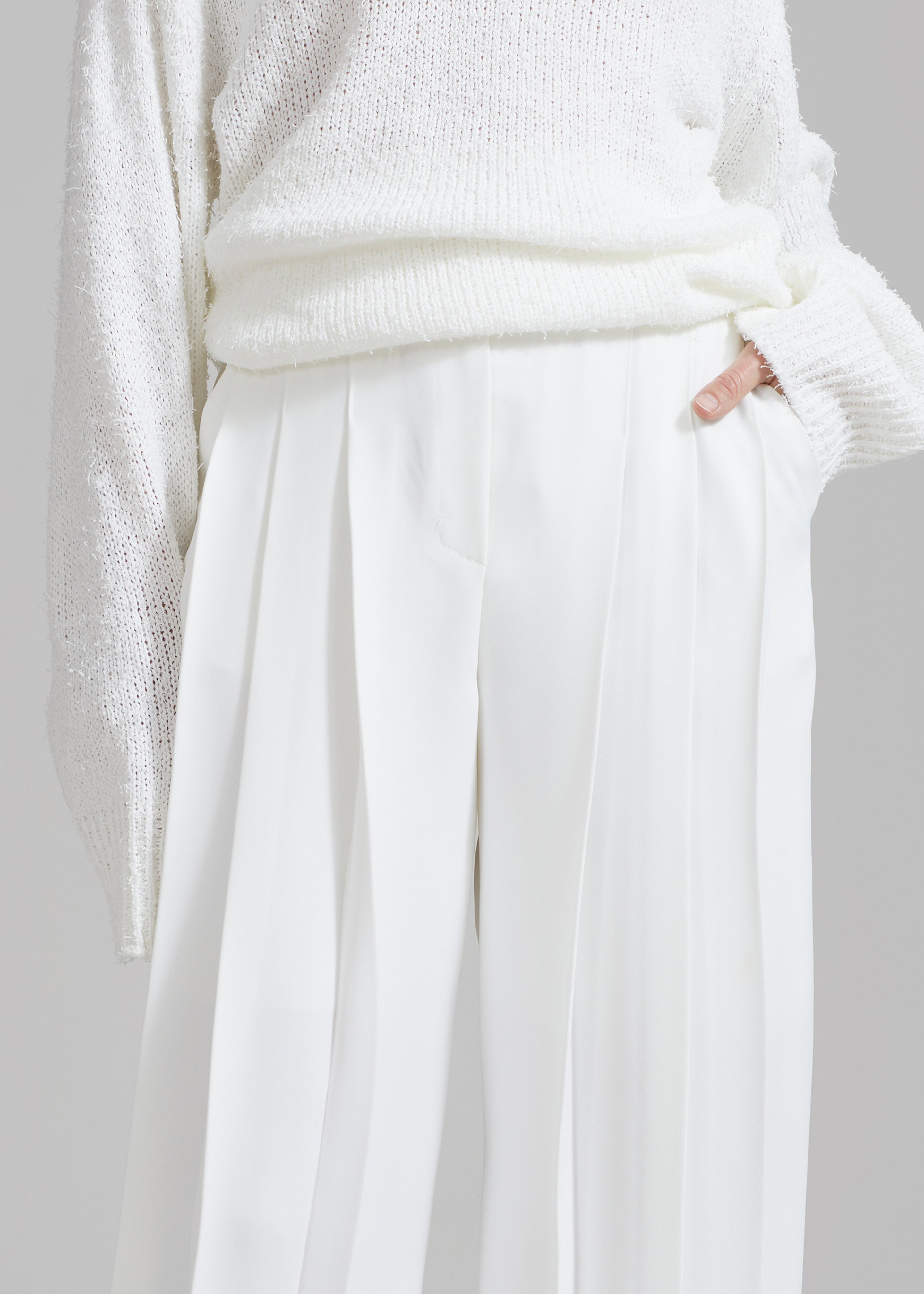 Dillon Pleated Pants - White - 4