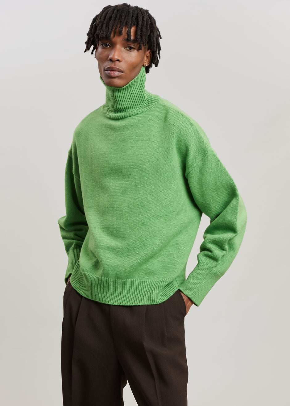 Joya Roll Neck Sweater - Kermit - 12