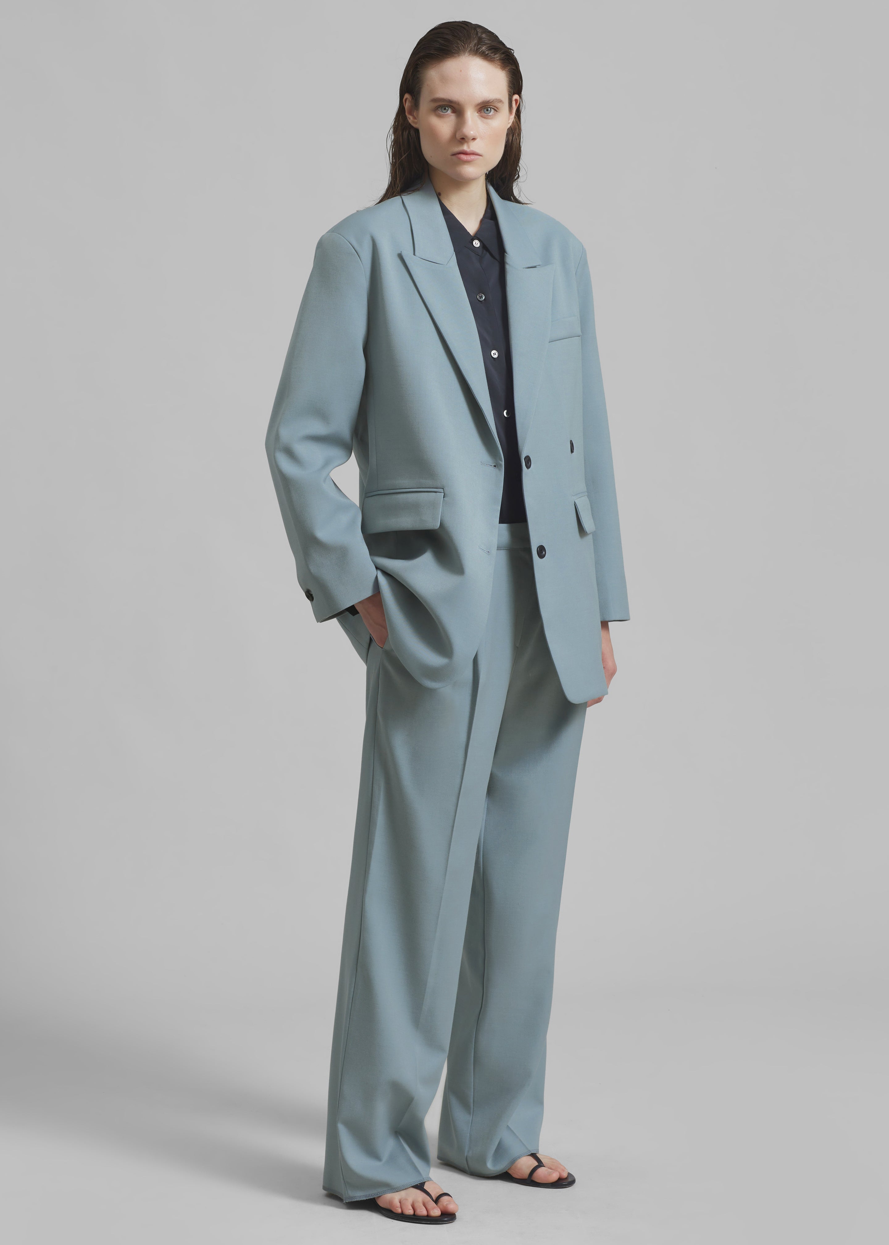 Spencer Pleated Pants - Dusty Blue - 15