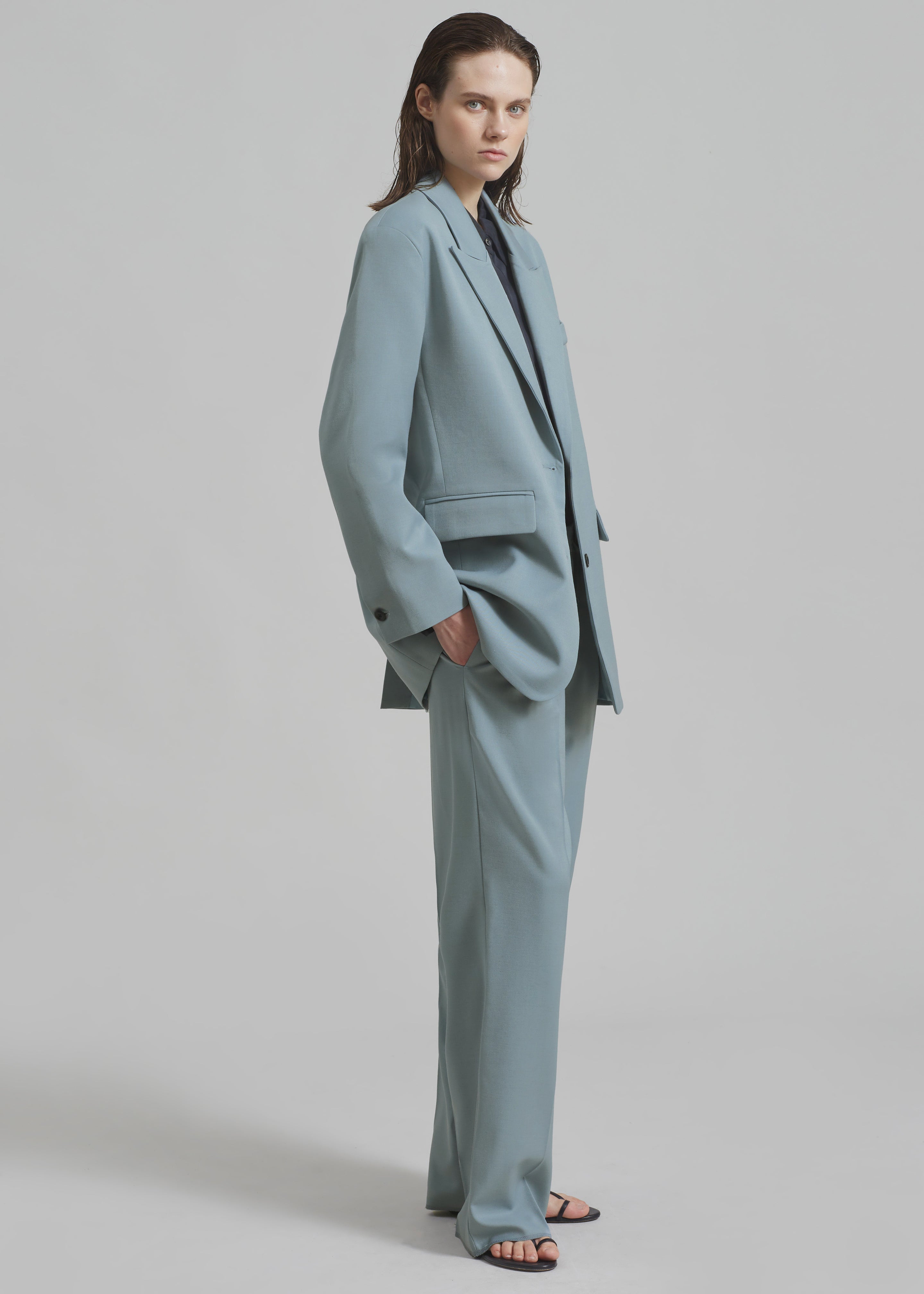 Spencer Pleated Pants - Dusty Blue - 12
