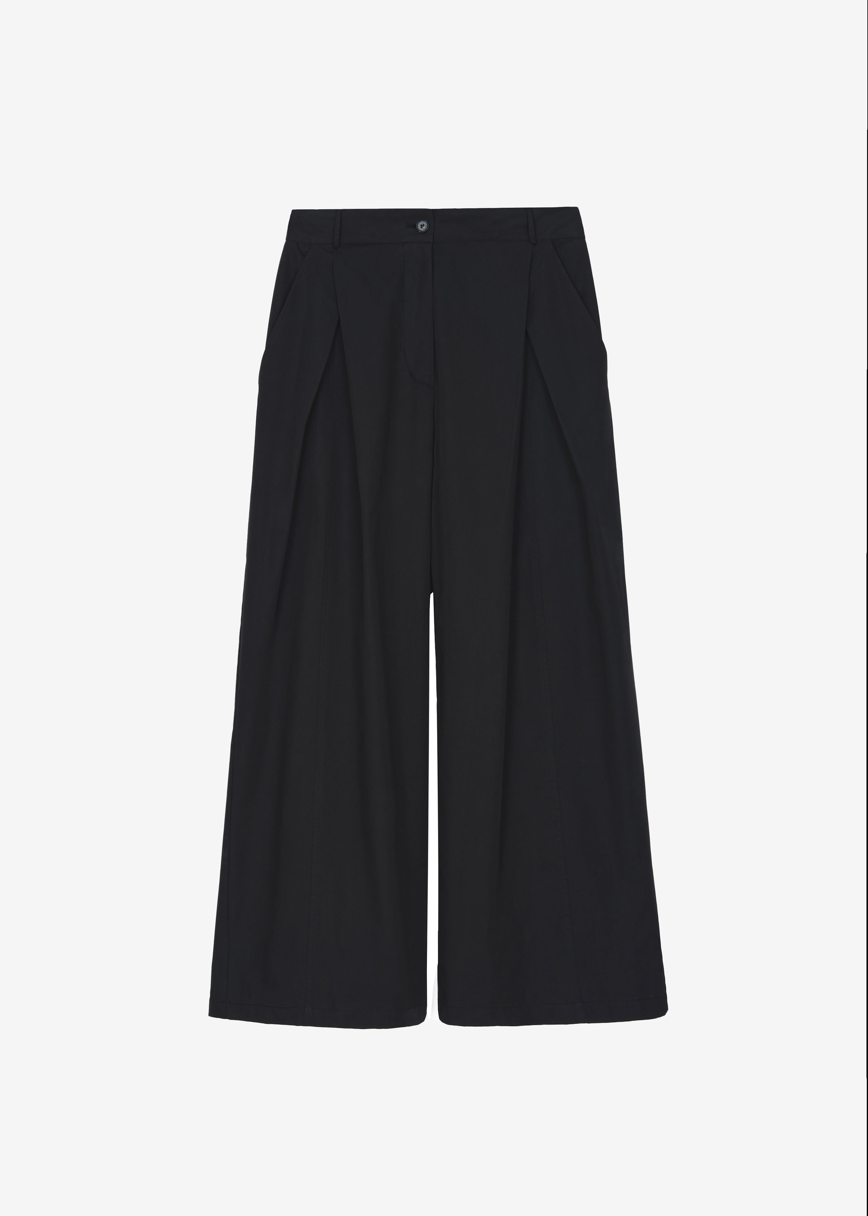 Ballia Pleated Pants - Black - 6