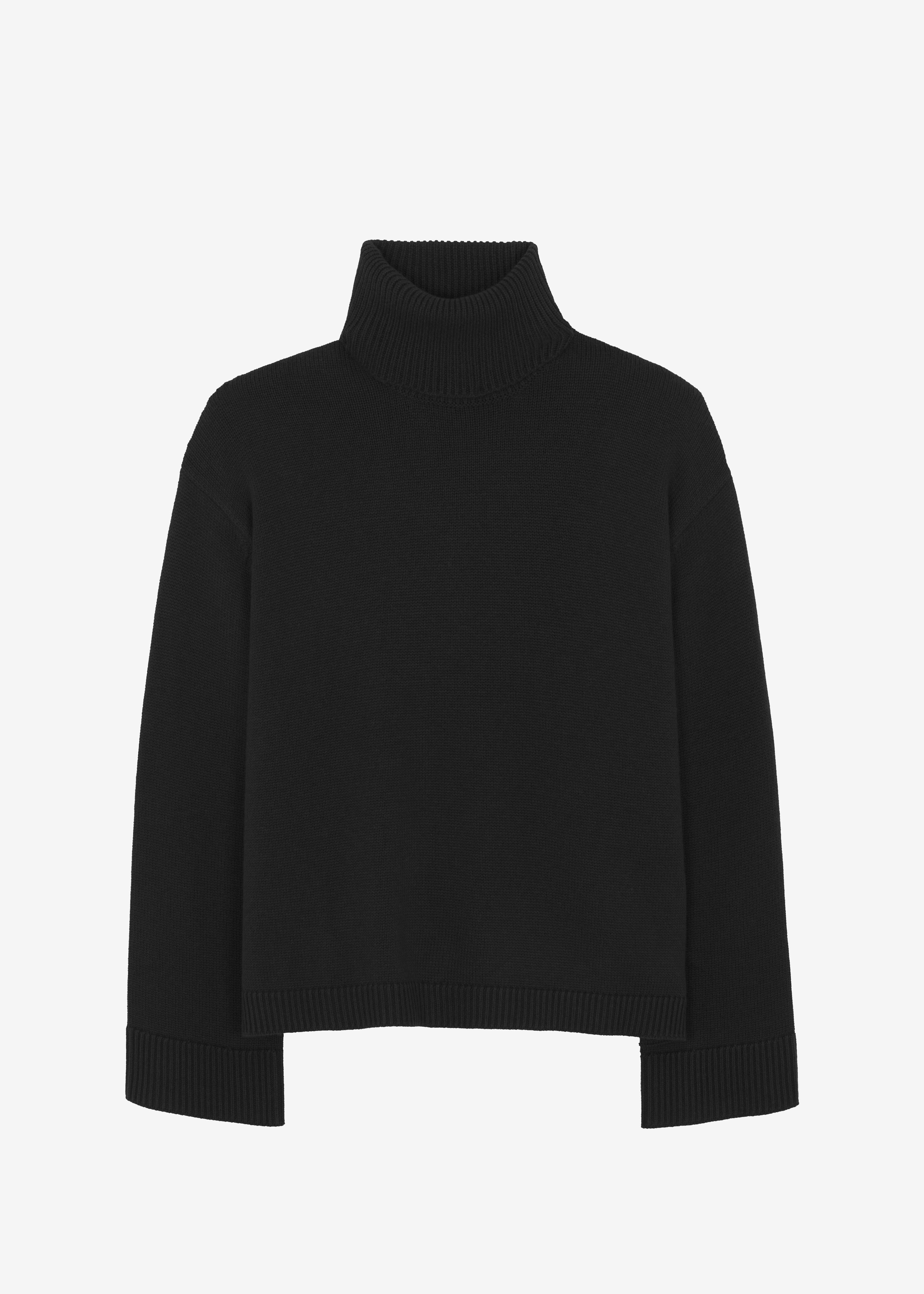 Rhea Trapeze Turtleneck - Black - 17