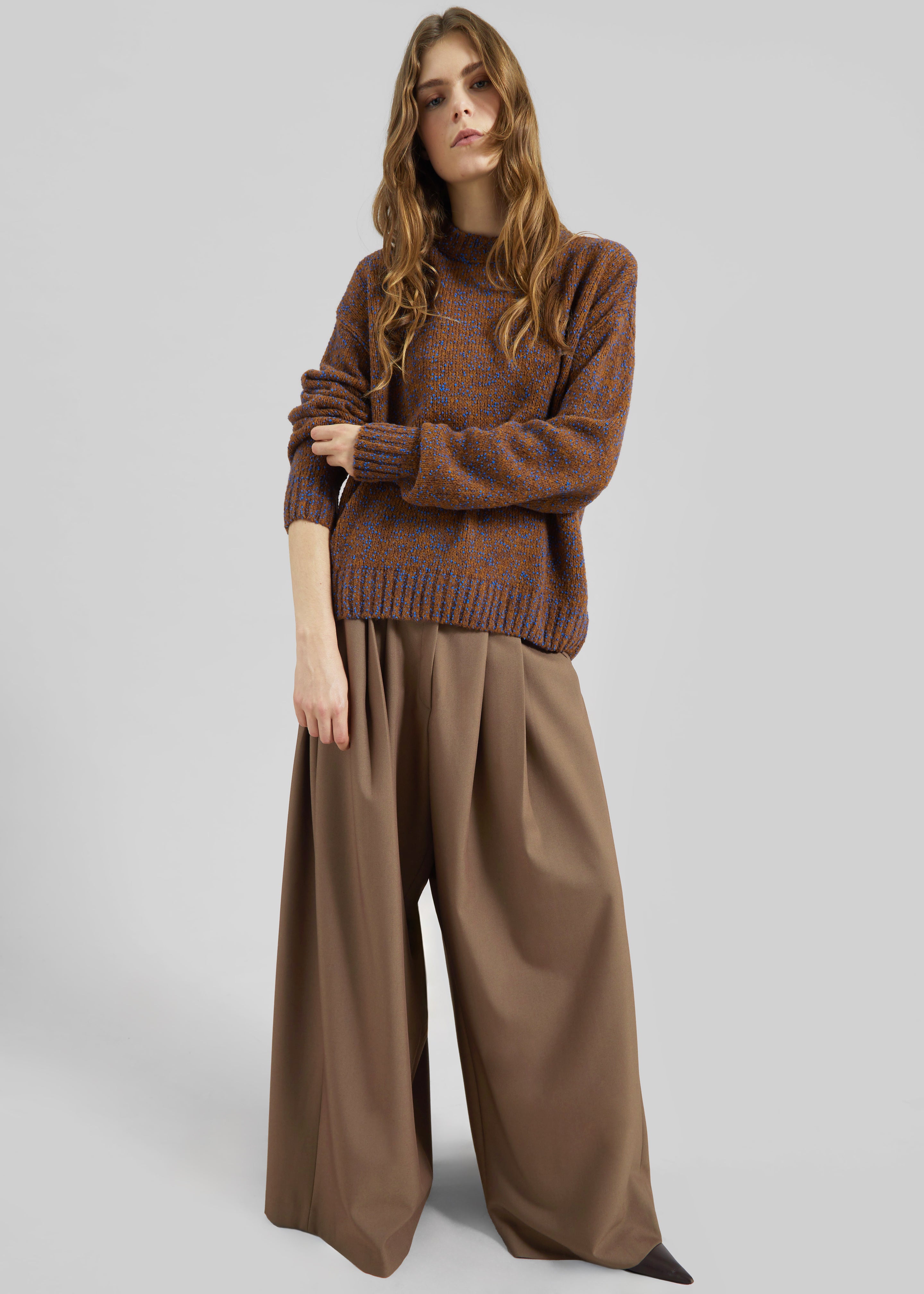Corlen Pleated Wide Pants - Brown - 6