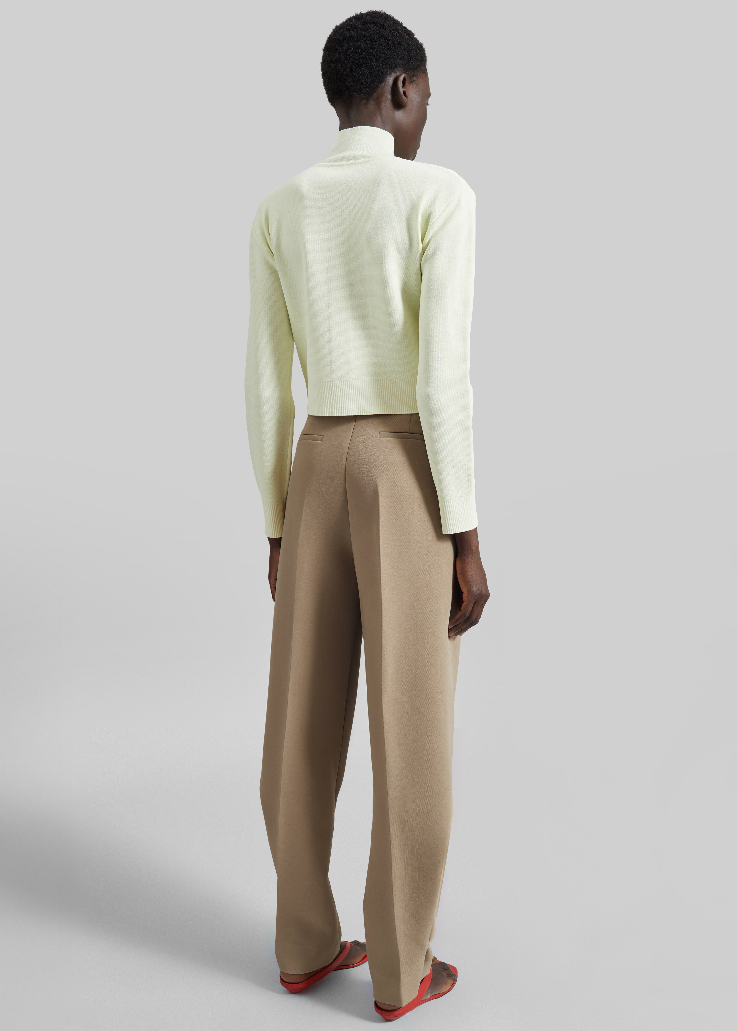 Doyer Pleated Trousers - Beige - 11