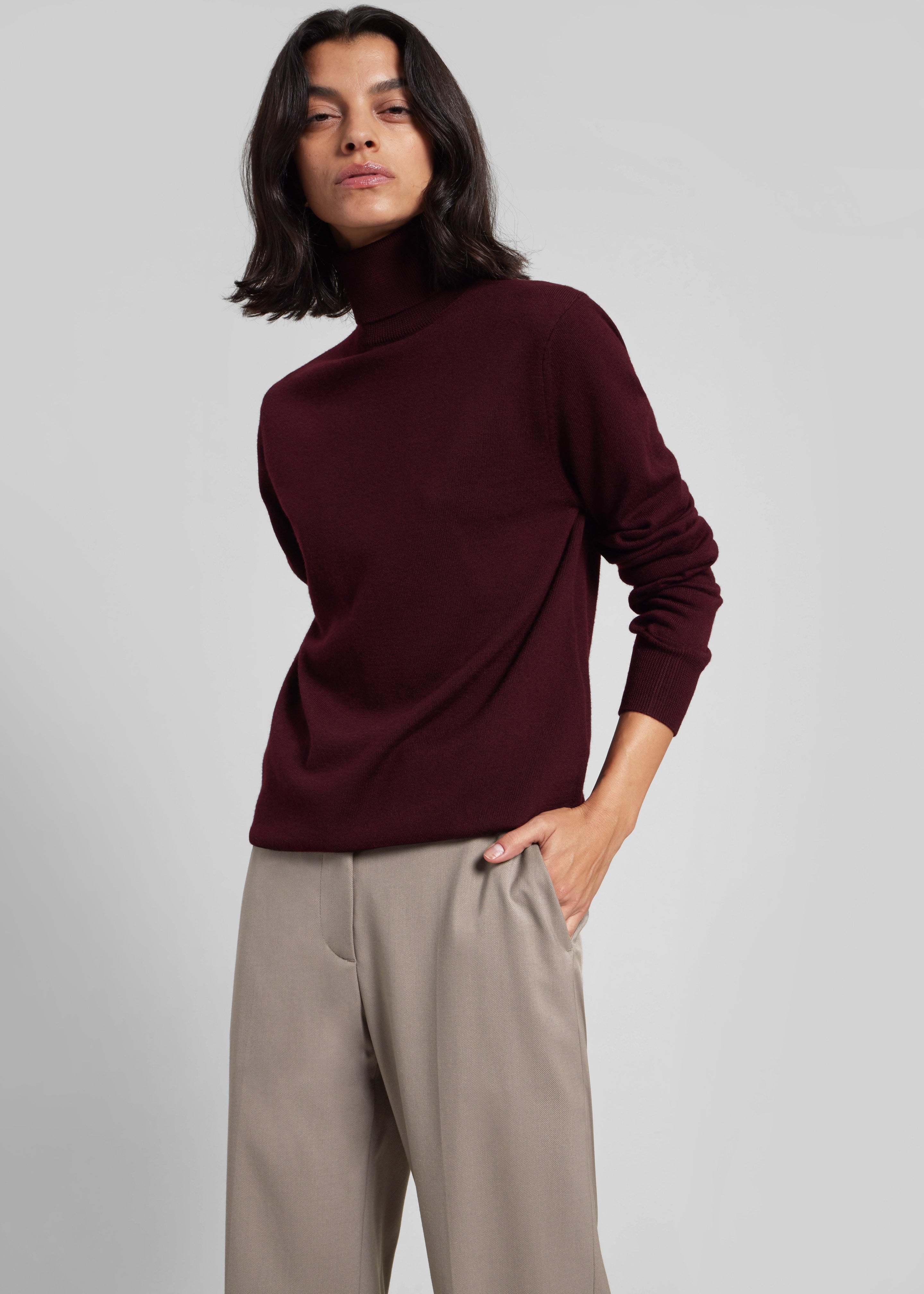 Eve Thin Turtleneck Sweater - Burgundy - 3
