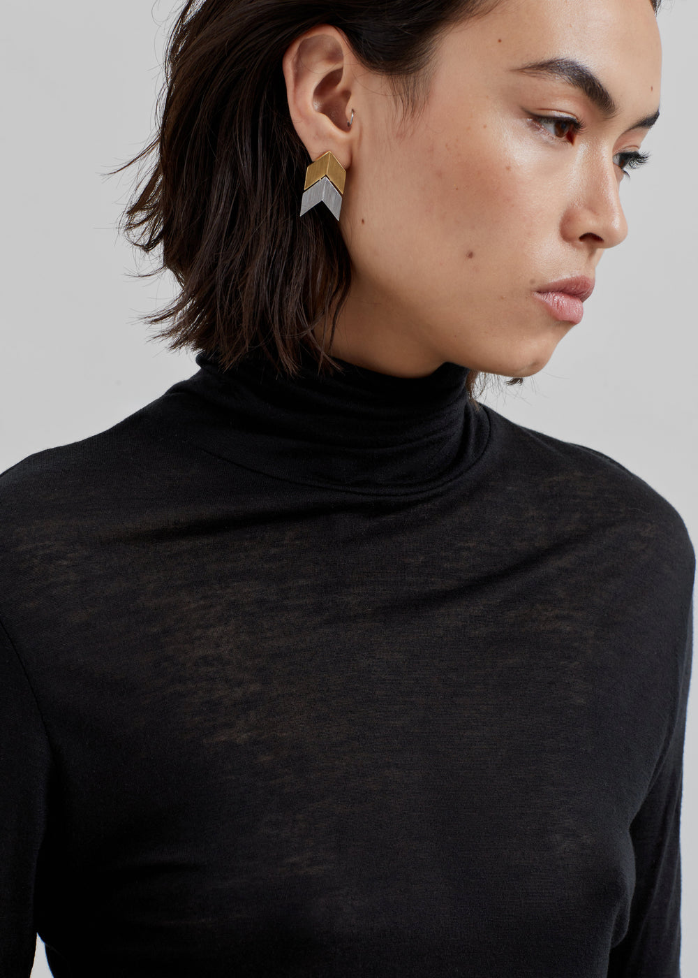Evren Sheer Turtleneck - Black - 1