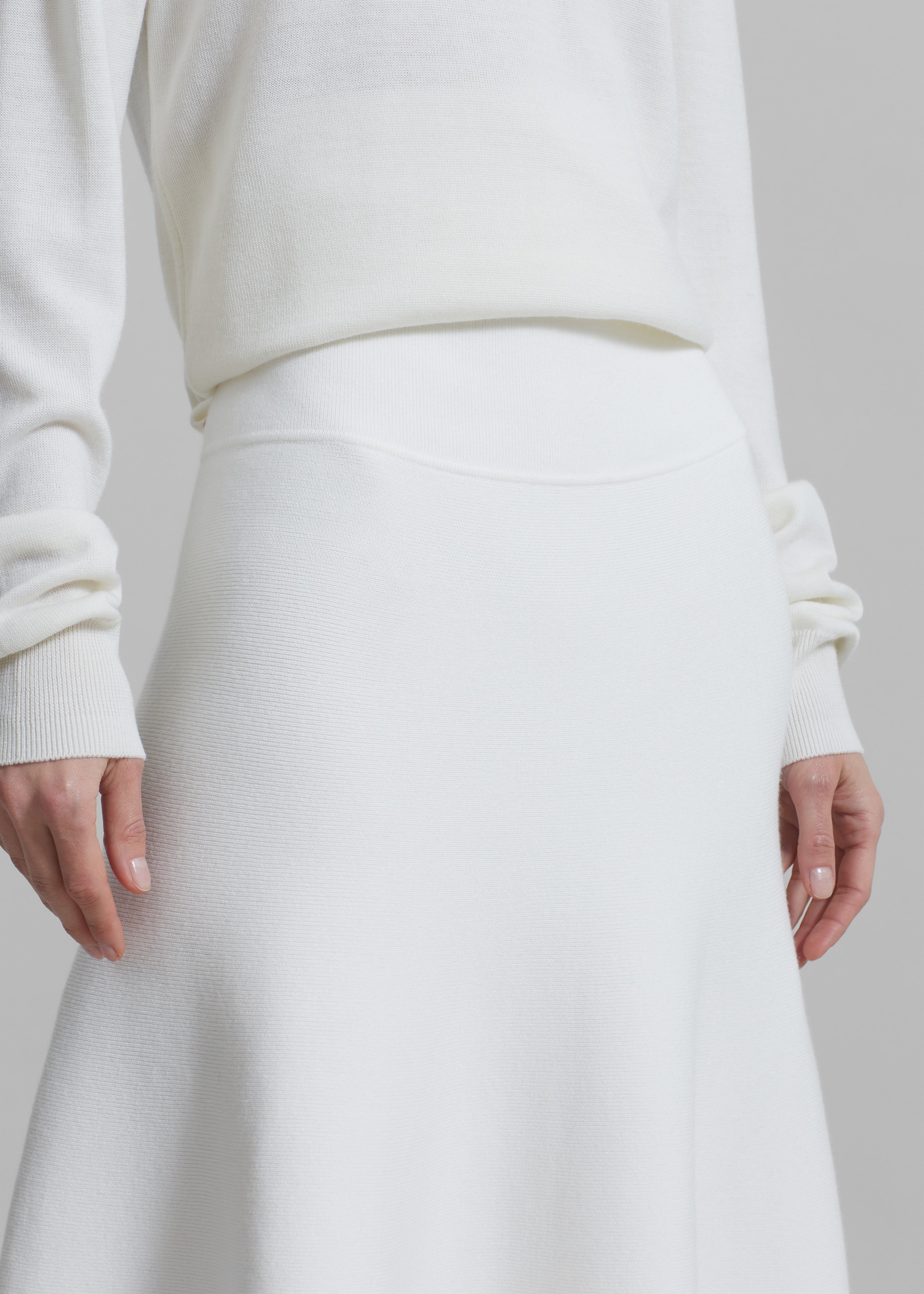 Gabrielle Knit Midi Skirt - Off White - 6