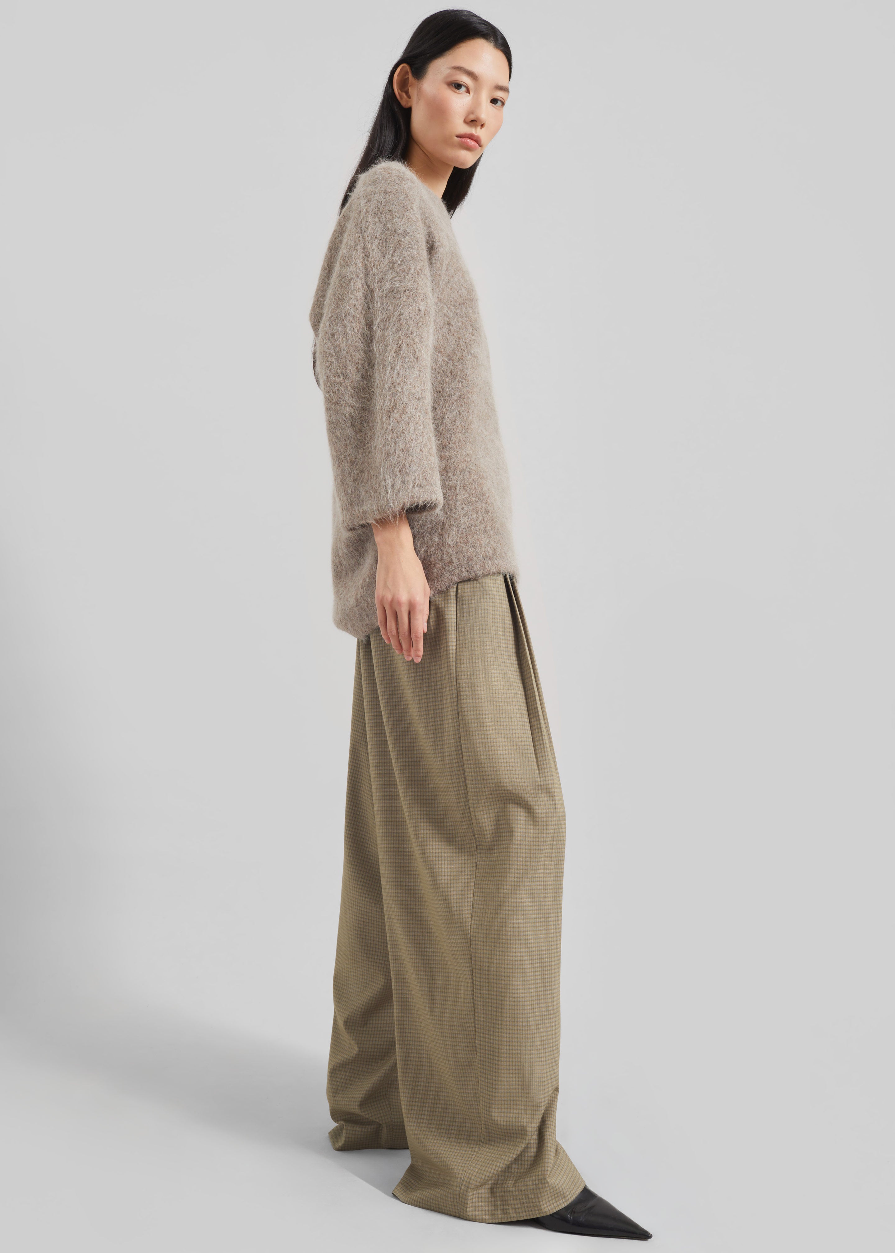 Gistel Pleated Pants - Beige Plaid - 5