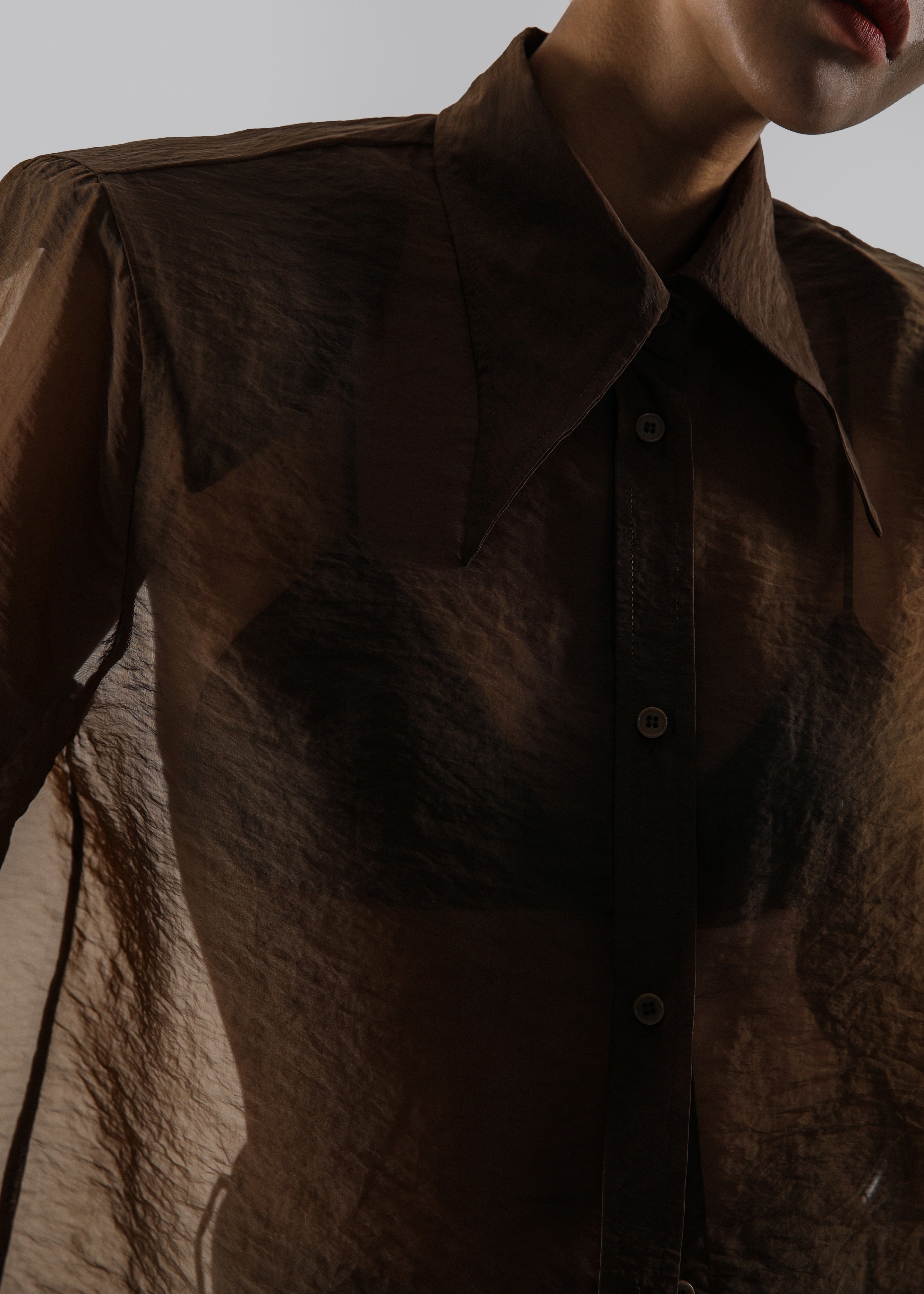 Jolene Semi Sheer Shirt - Brown - 9