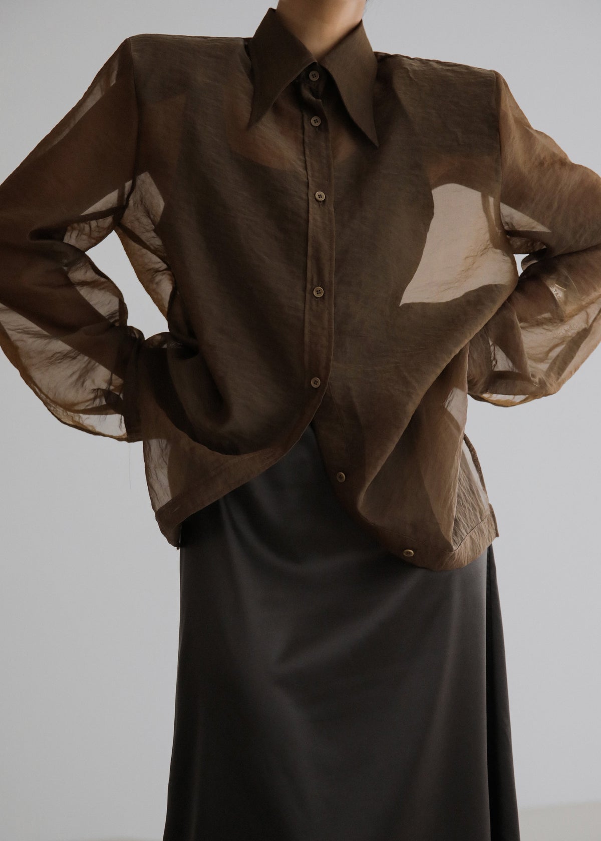 Jolene Semi Sheer Shirt - Brown - 6