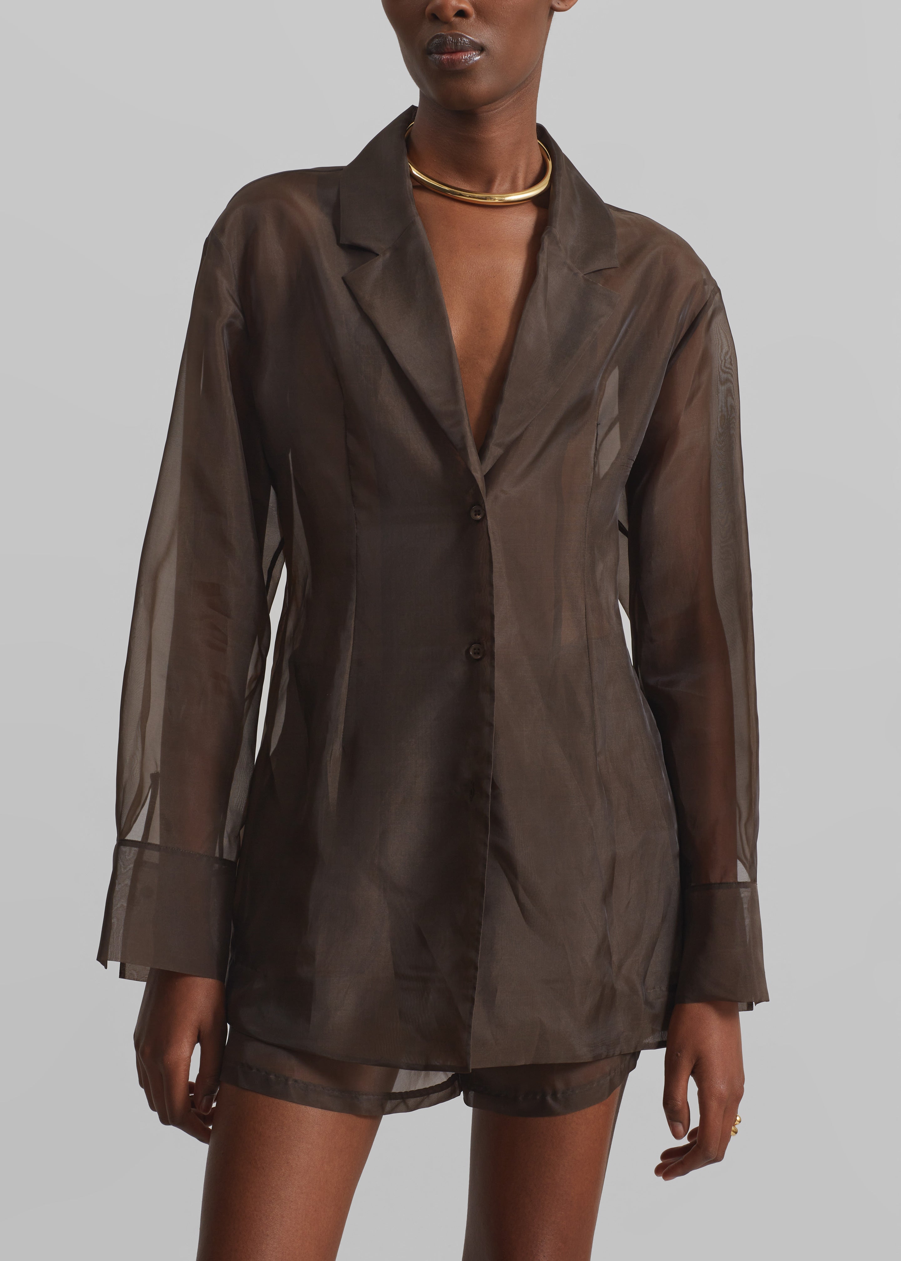 Lise Sheer Blazer - Brown – The Frankie Shop Europe