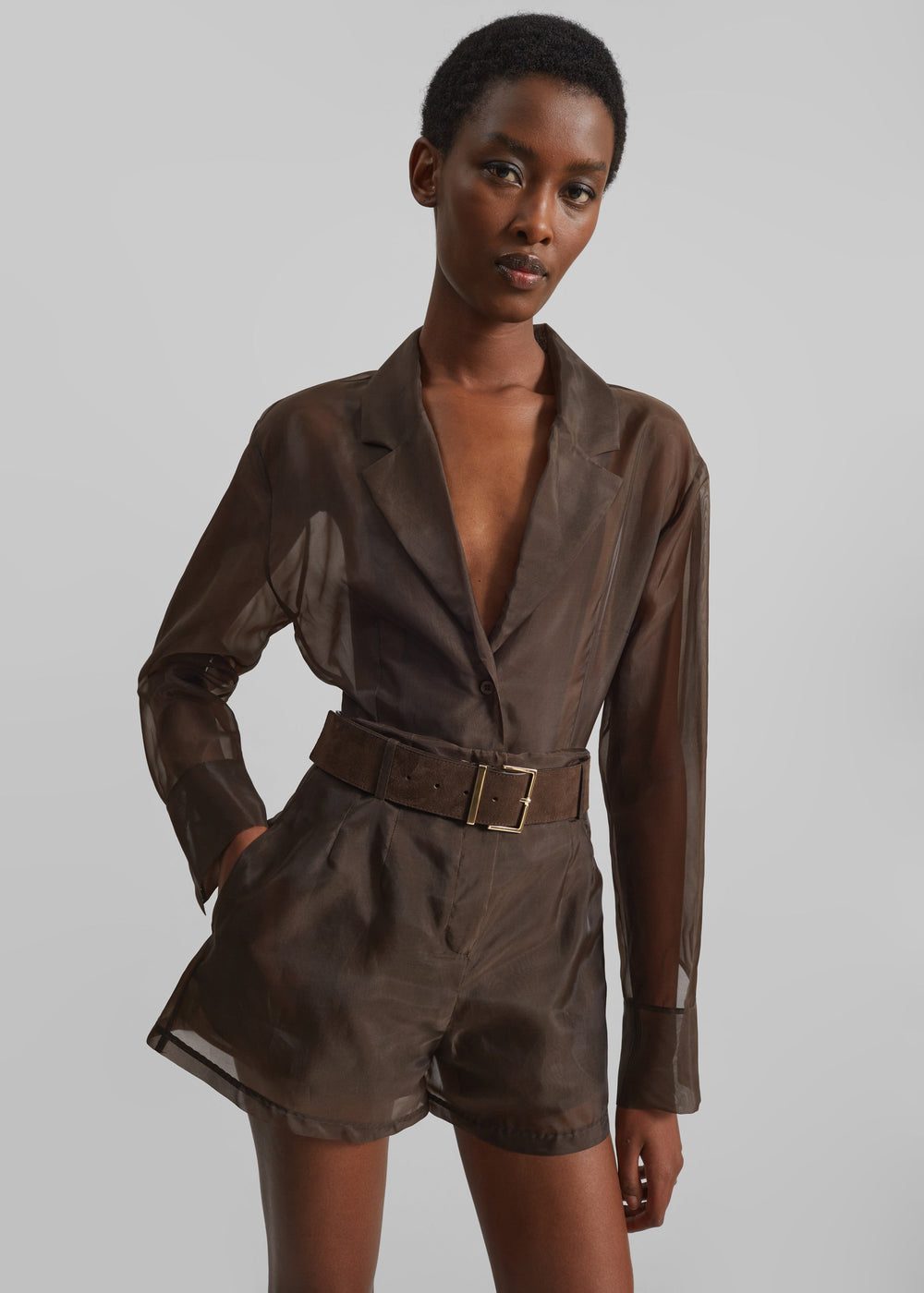 Lise Sheer Blazer - Brown