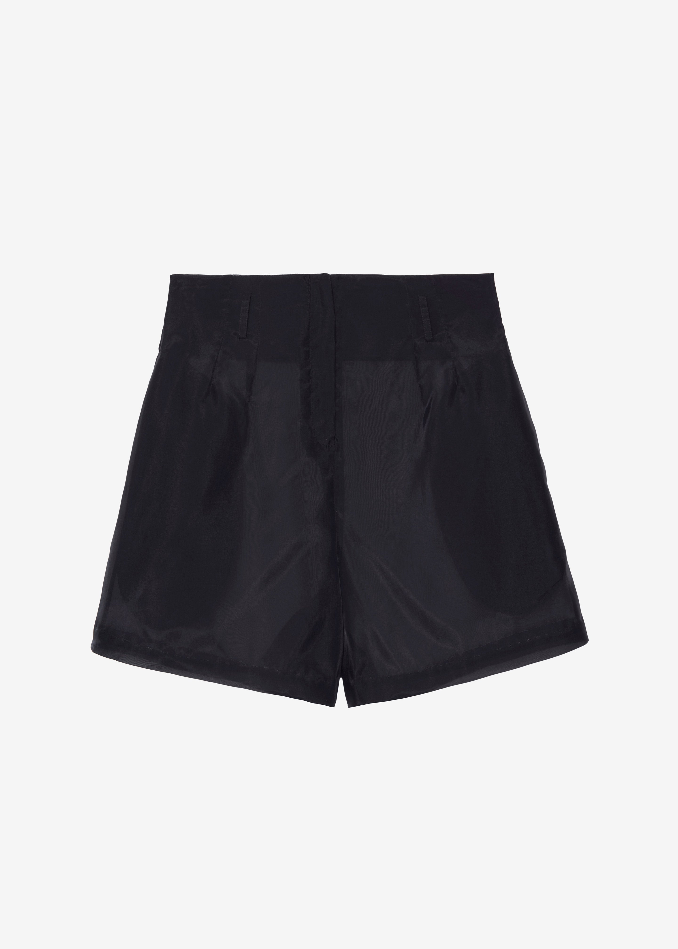 Lise Sheer Shorts - Black - 11