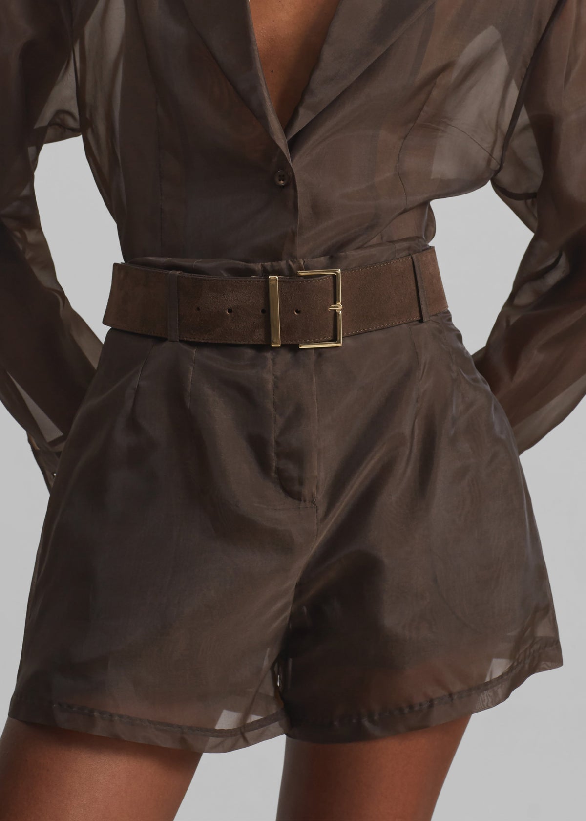 Lise Sheer Shorts - Brown - 3