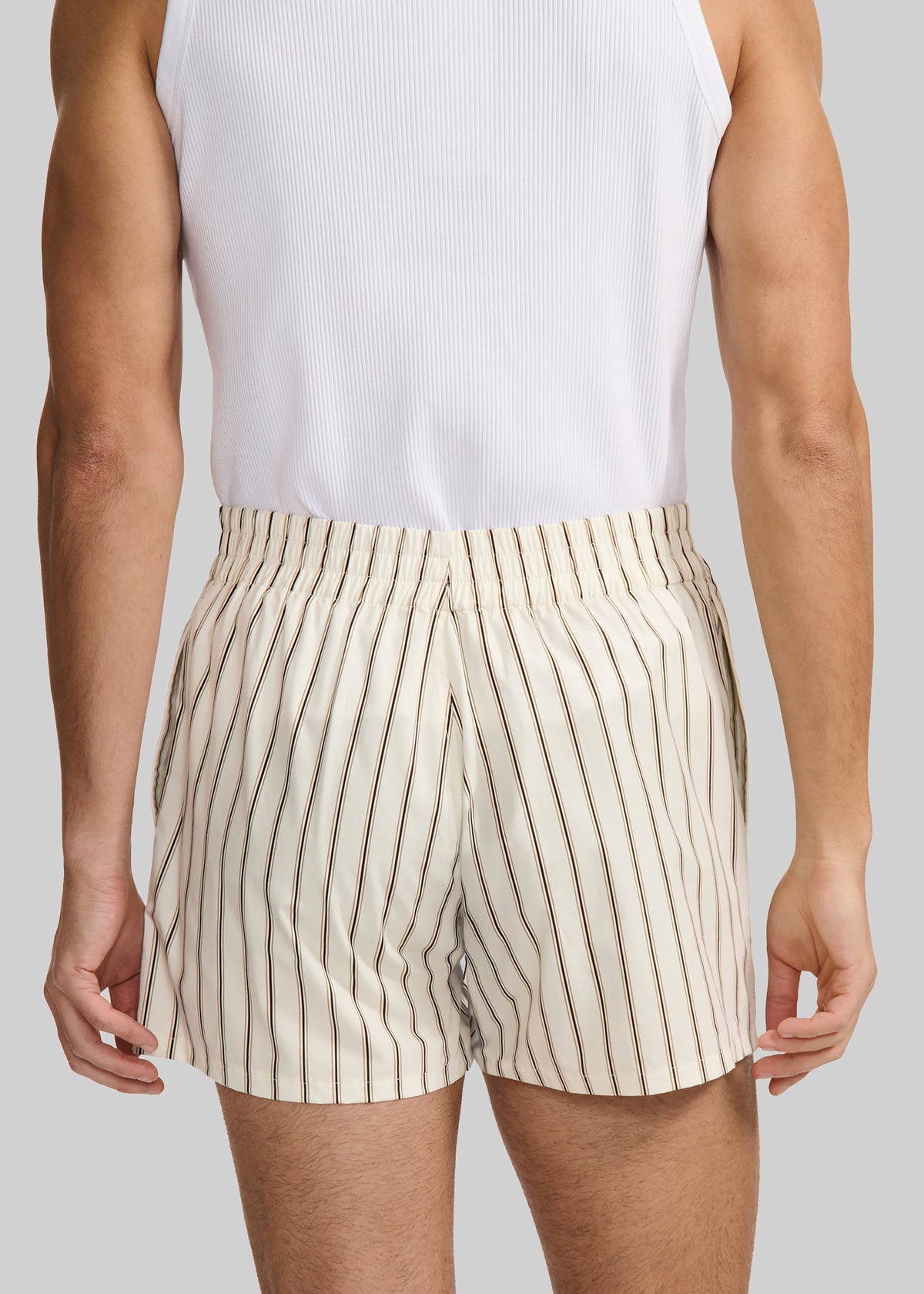 Louis Gabriel Nouchi Striped Cotton Shorts - Desert Pinstripes - 5