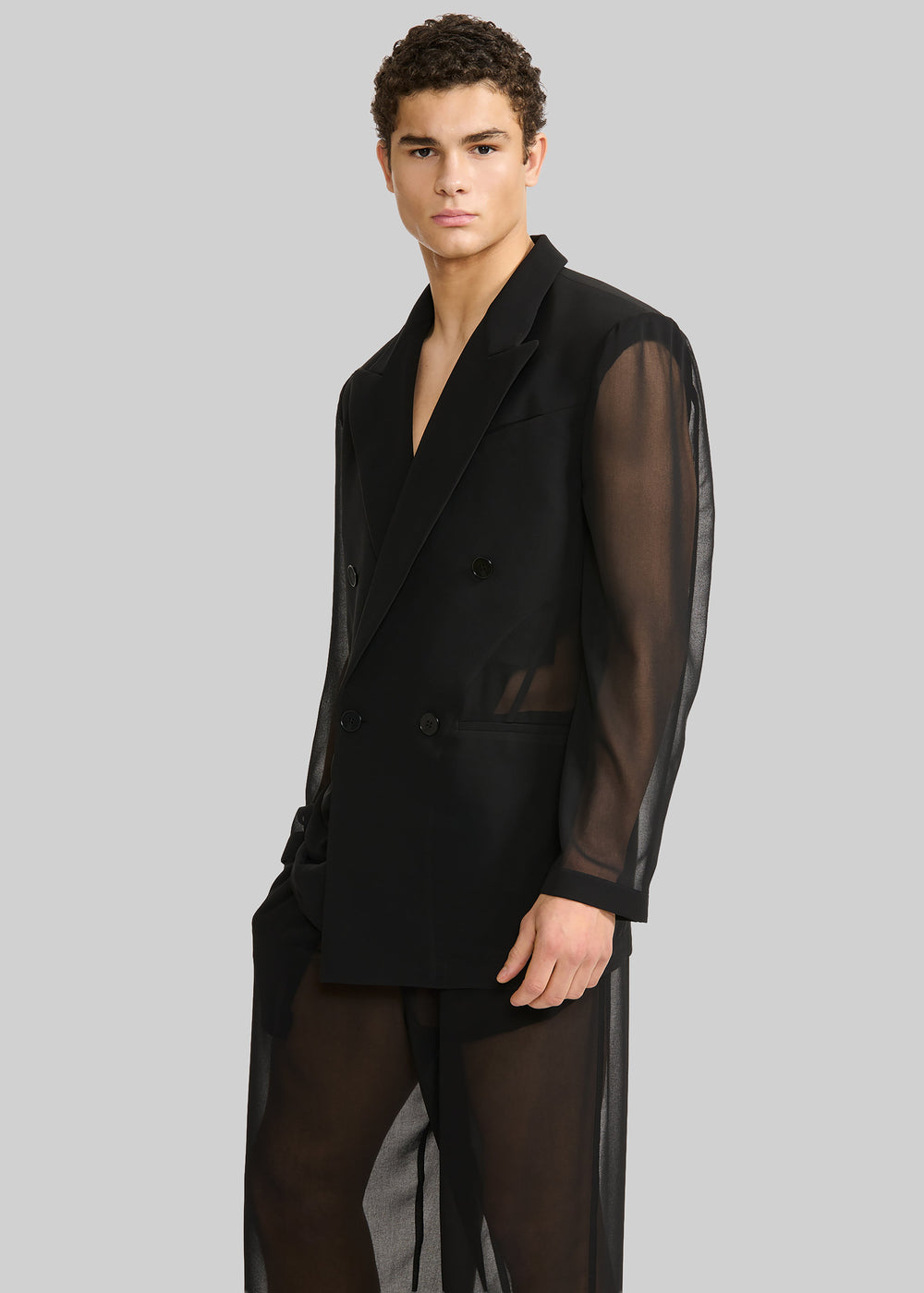 Louis Gabriel Nouchi 4-Button Double-Breasted Sheer Jacket - Black - 1