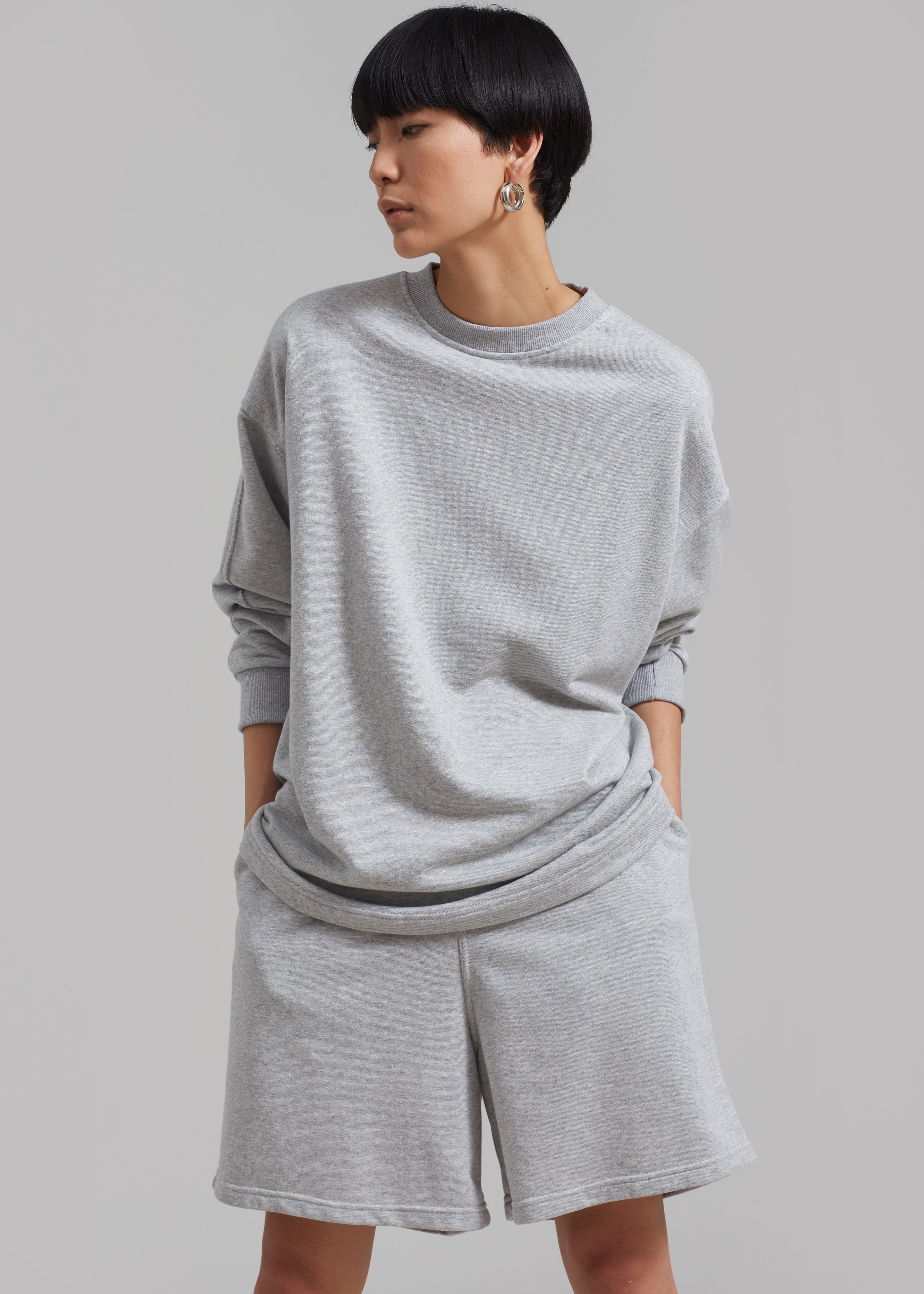 Newton Long Sleeves Sweat Tee - Grey - 4