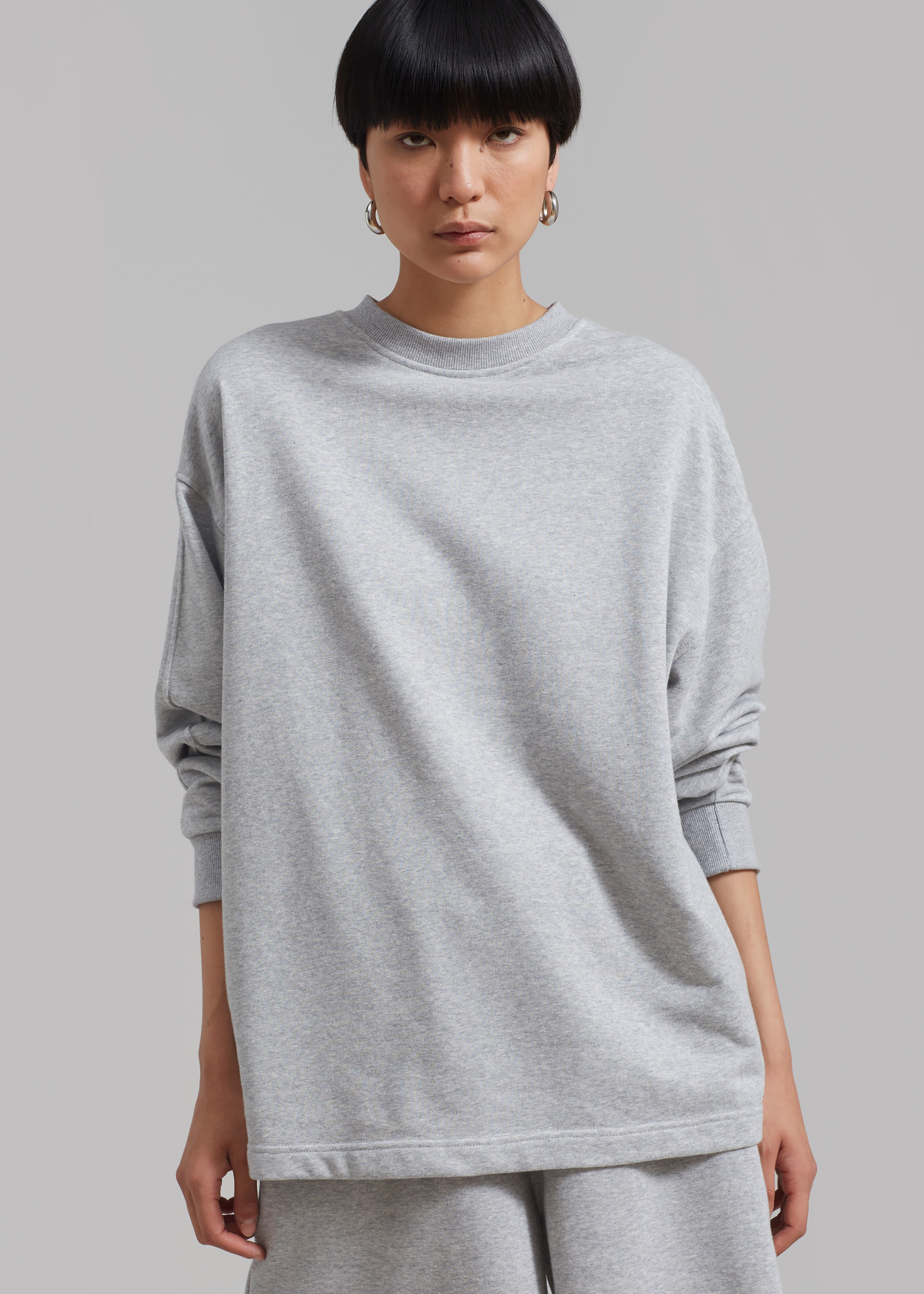 Newton Long Sleeves Sweat Tee - Grey - 2