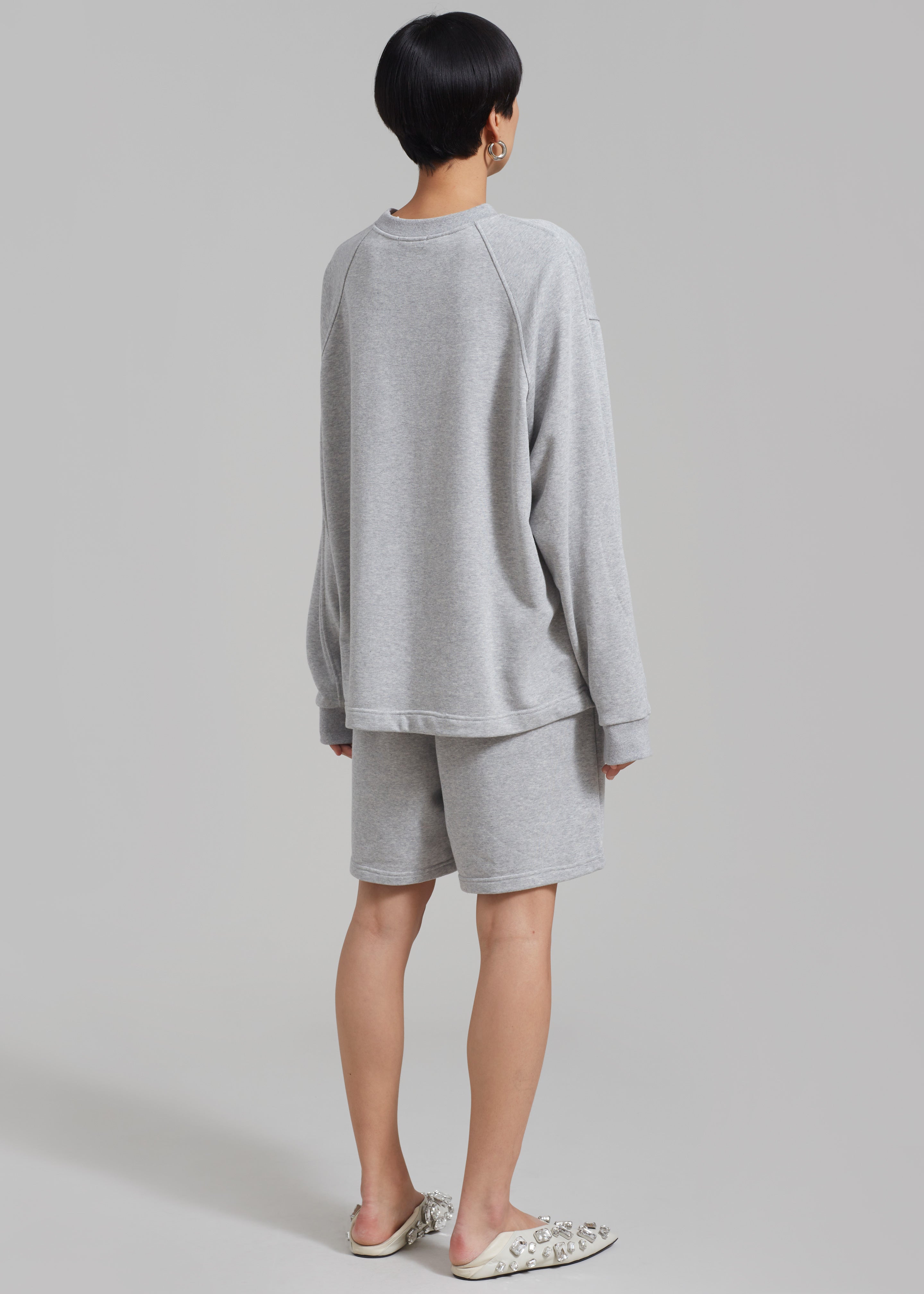 Newton Long Sleeves Sweat Tee - Grey - 5