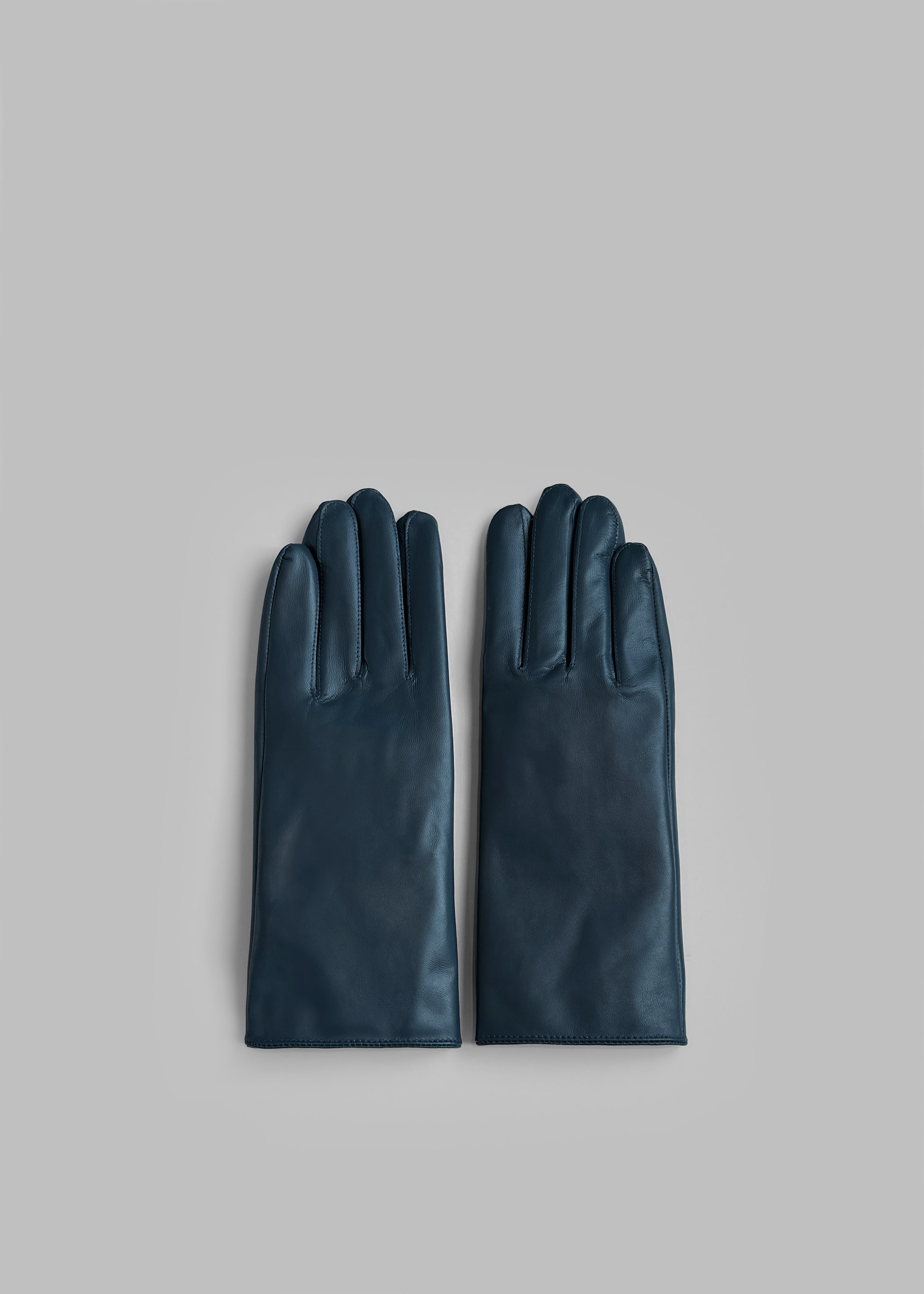 Ruby Leather Gloves - Blue - 3