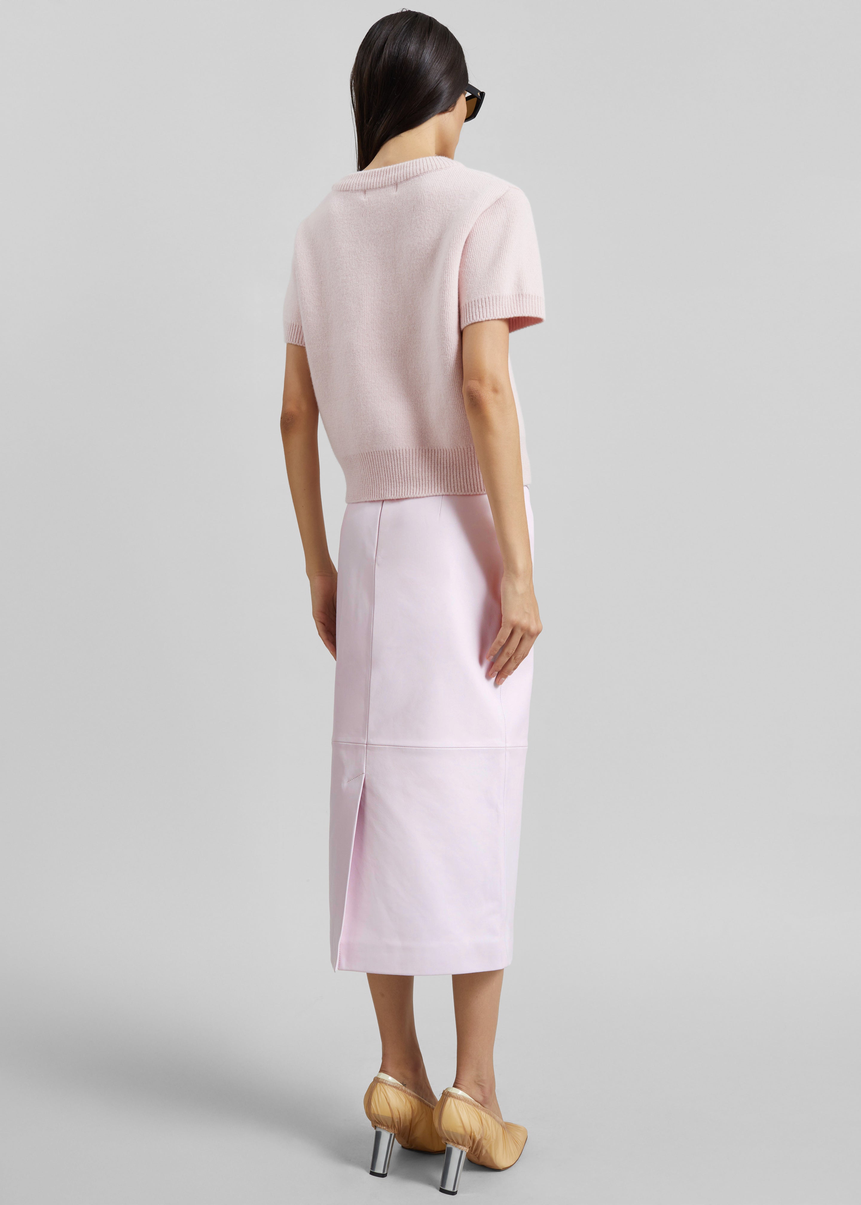 Taney Leather Pencil Skirt - Faded Pink - 9