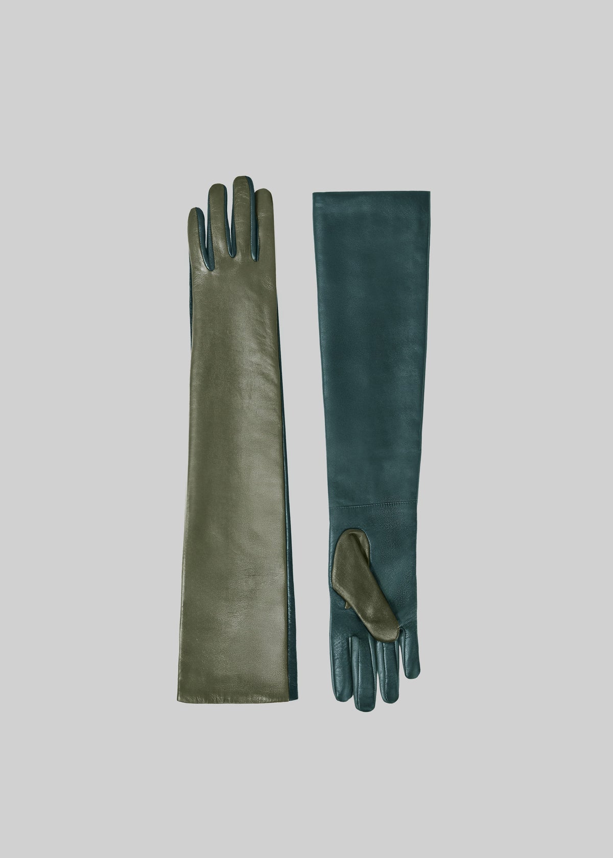 Veneto Bicolor Long Leather Gloves - Pine/Bottle Green