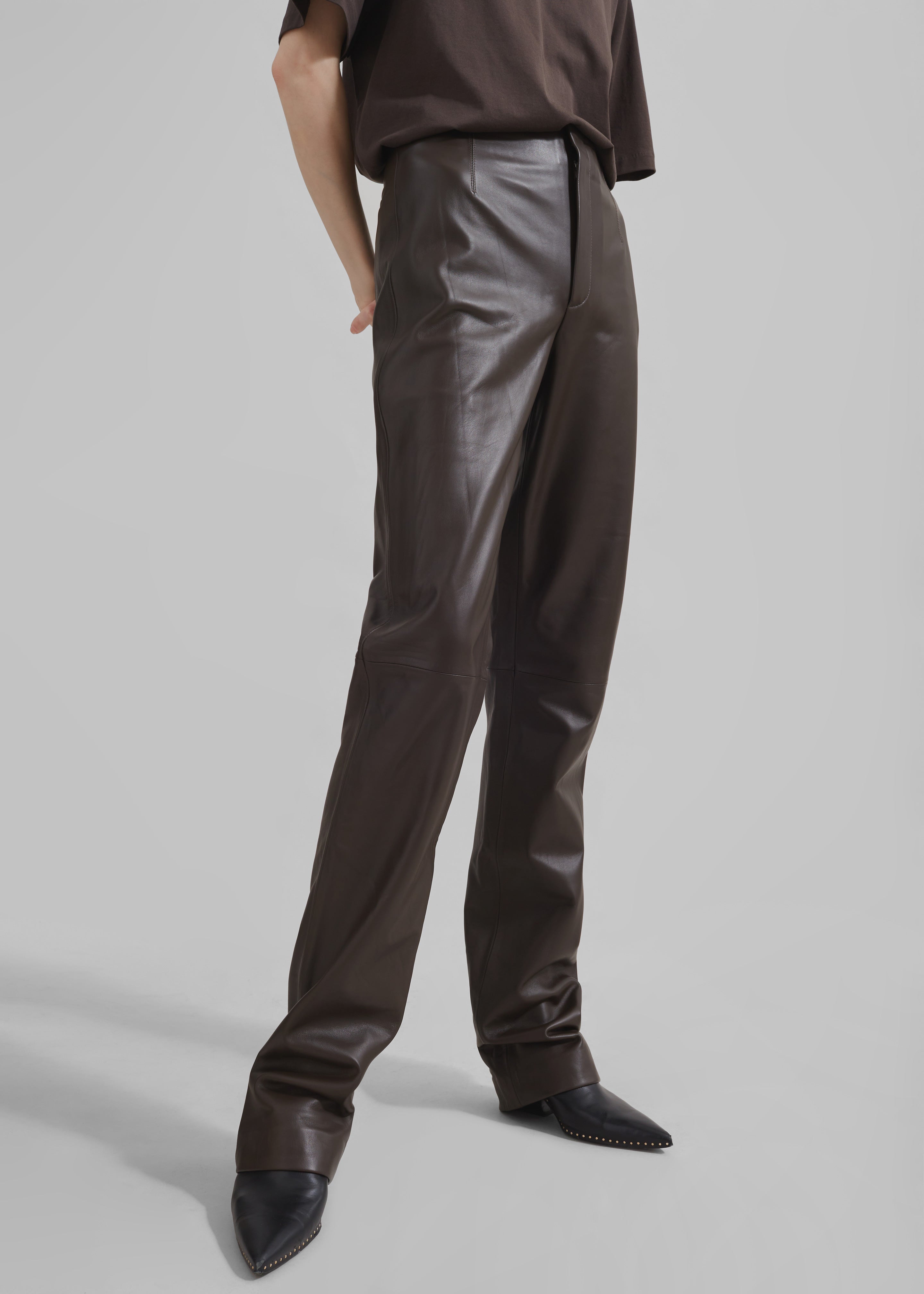 Ziggy Long Leather Pants - Brown - 5