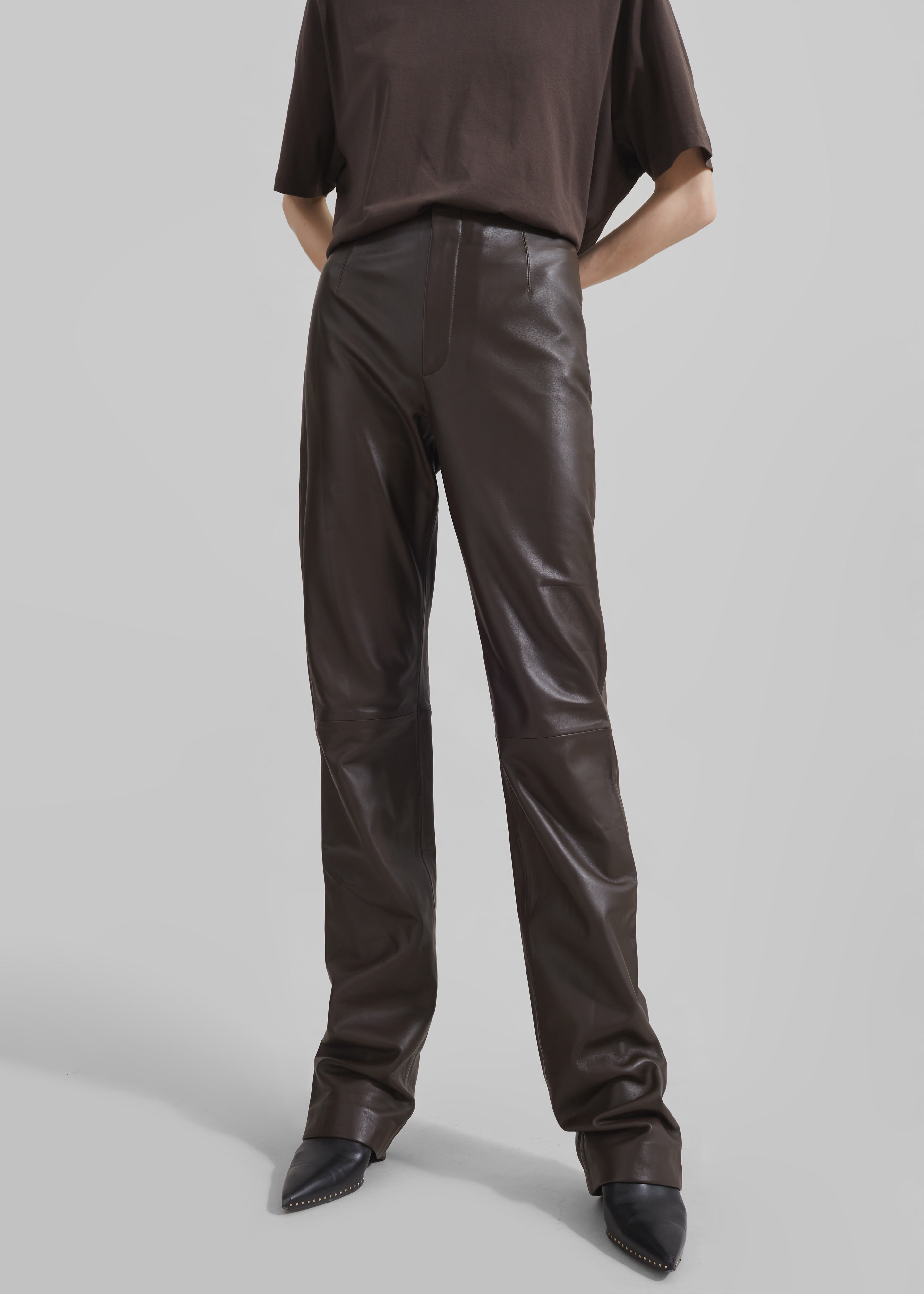 Ziggy Long Leather Pants - Brown - 2