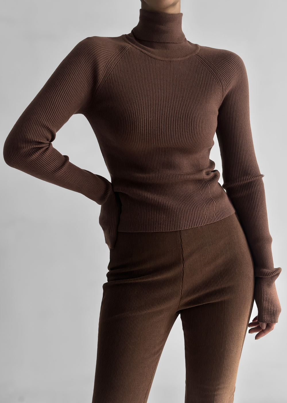 Aubree Turtleneck - Brown - 1