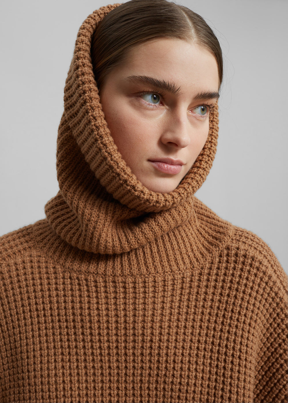 Bex Wool Hooded Turtleneck - Camel - 1