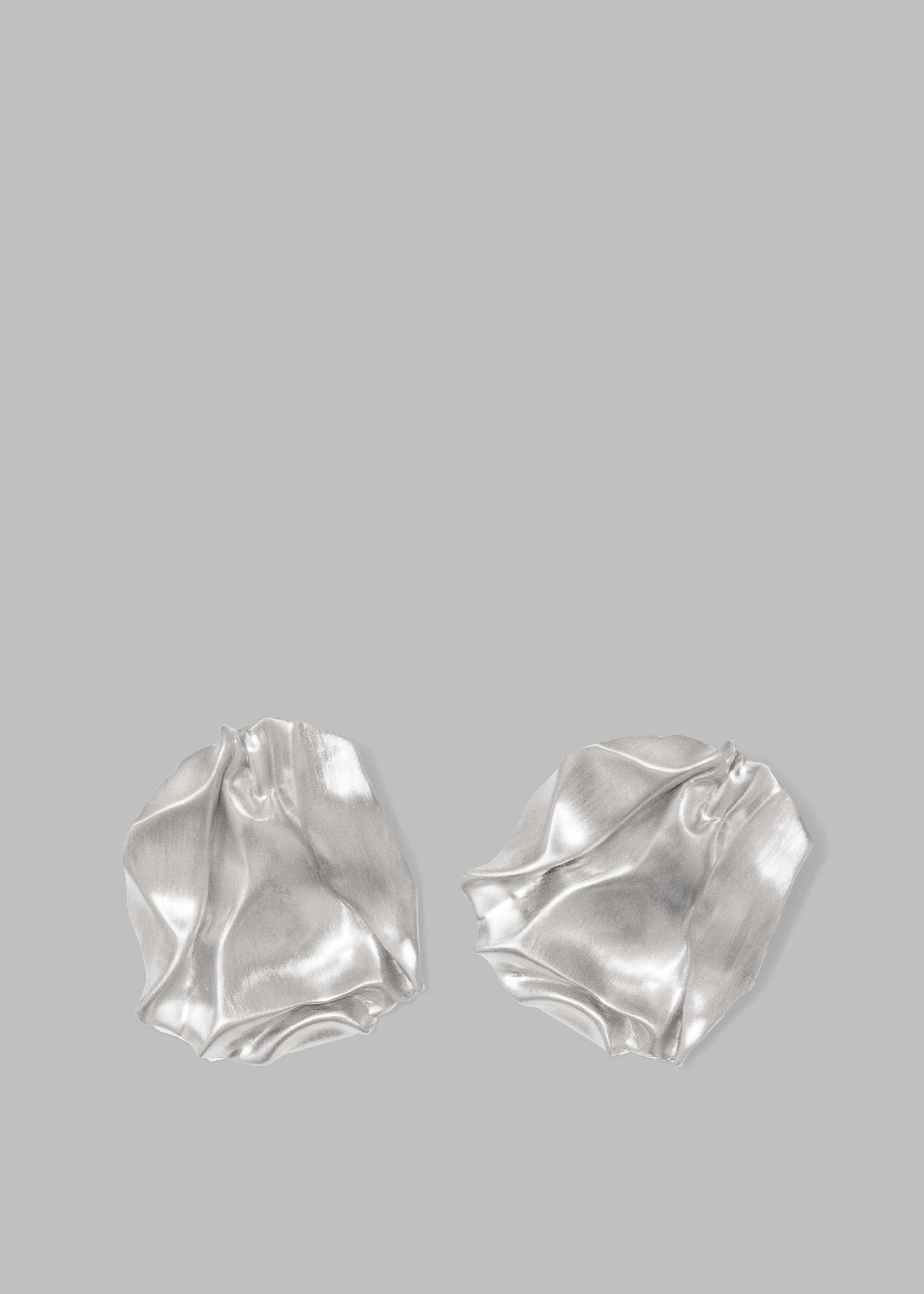 Completedworks Groundswell Earrings - Platinum - 1