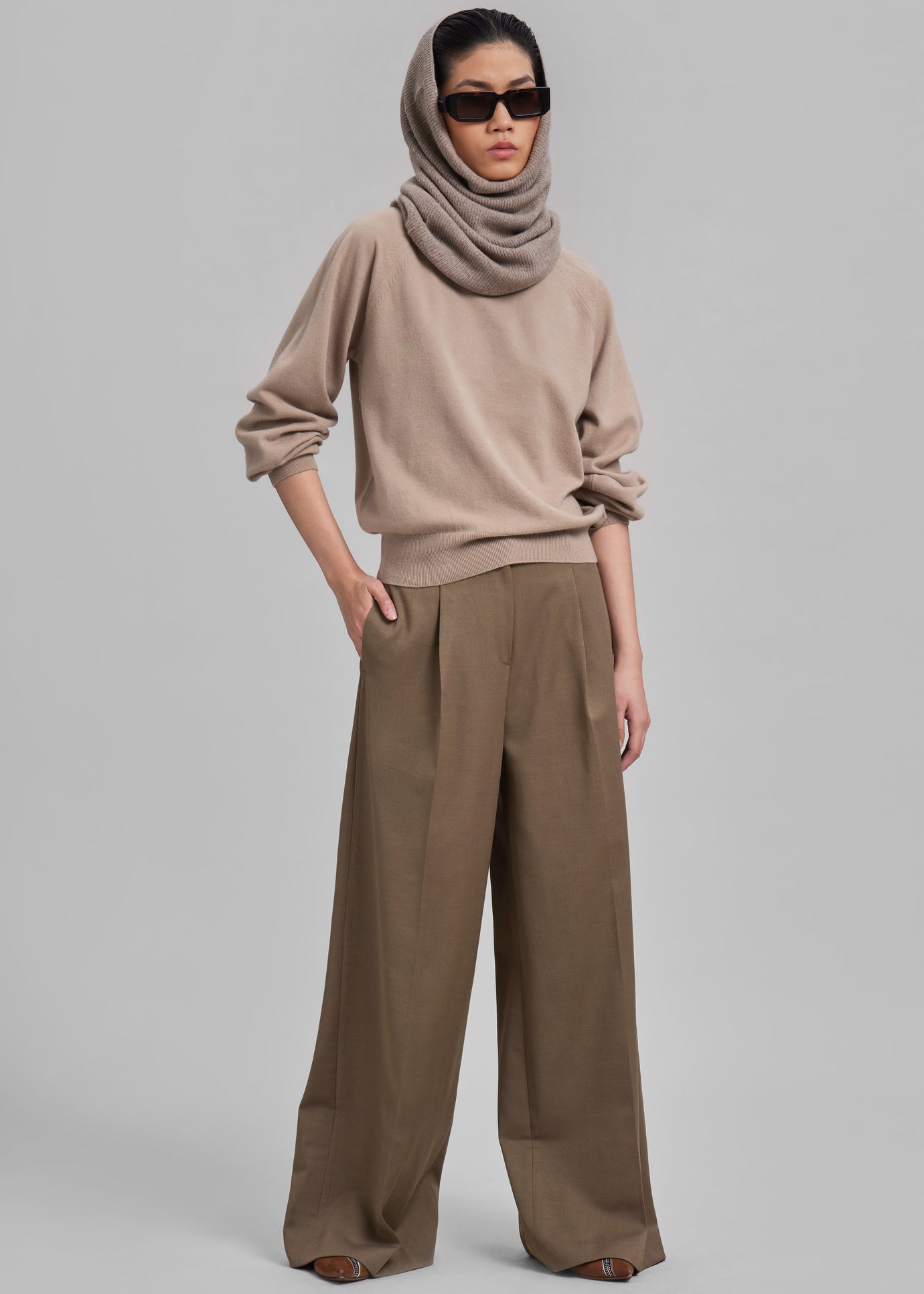 Dariel Pleated Trousers - Taupe - 1