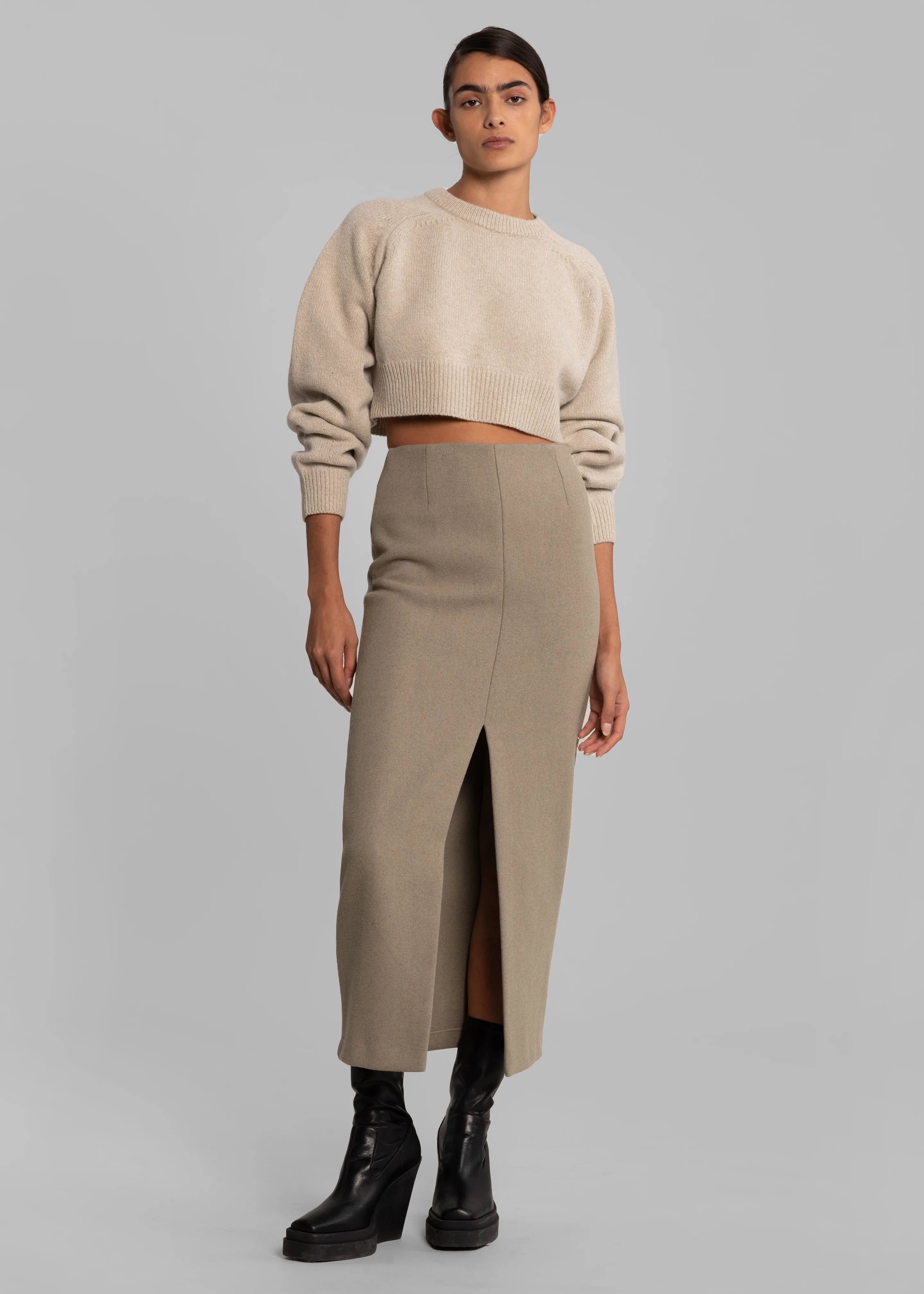 Neasi Wool-Blend Pencil Skirt - Taupe - 1