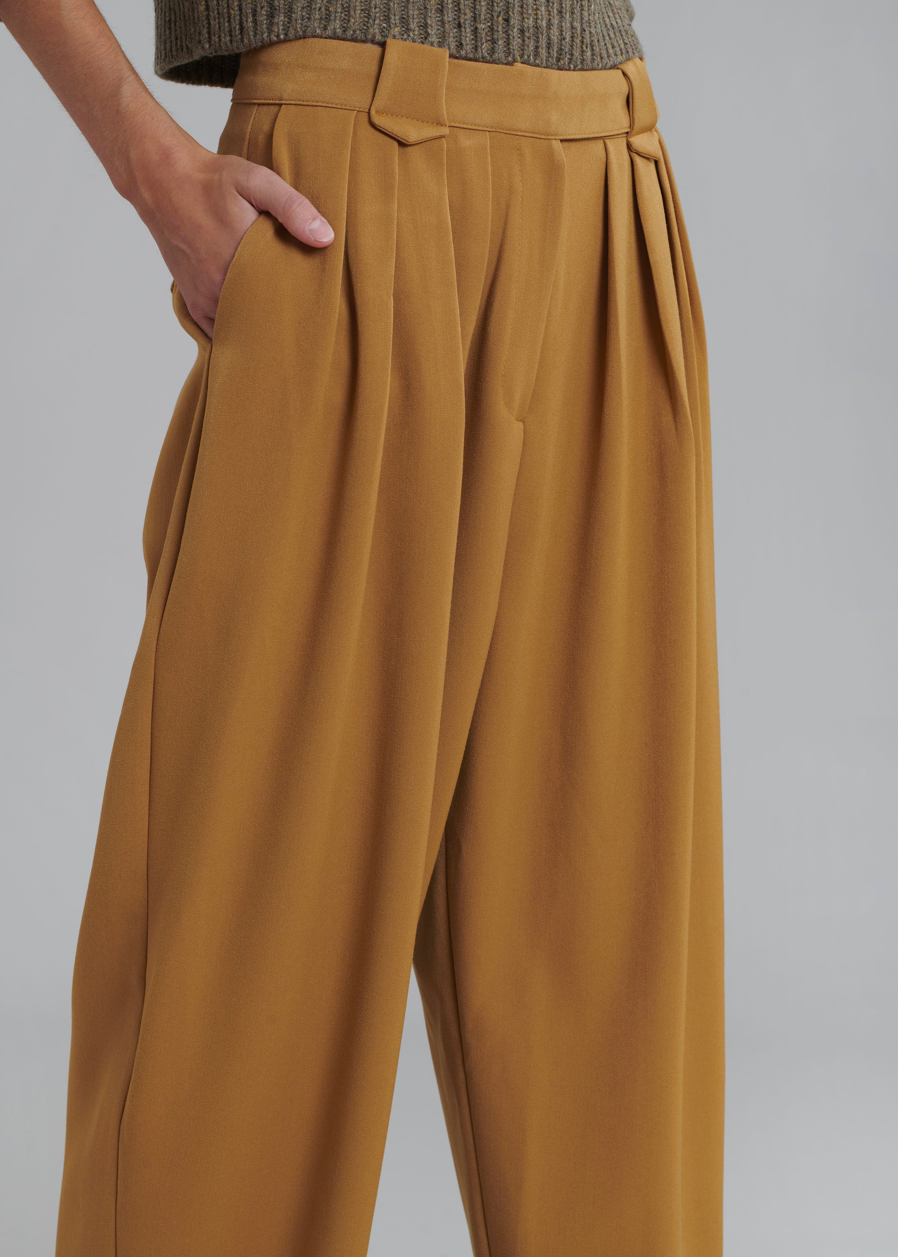 Luce Pleated Pants - Ginger - 3