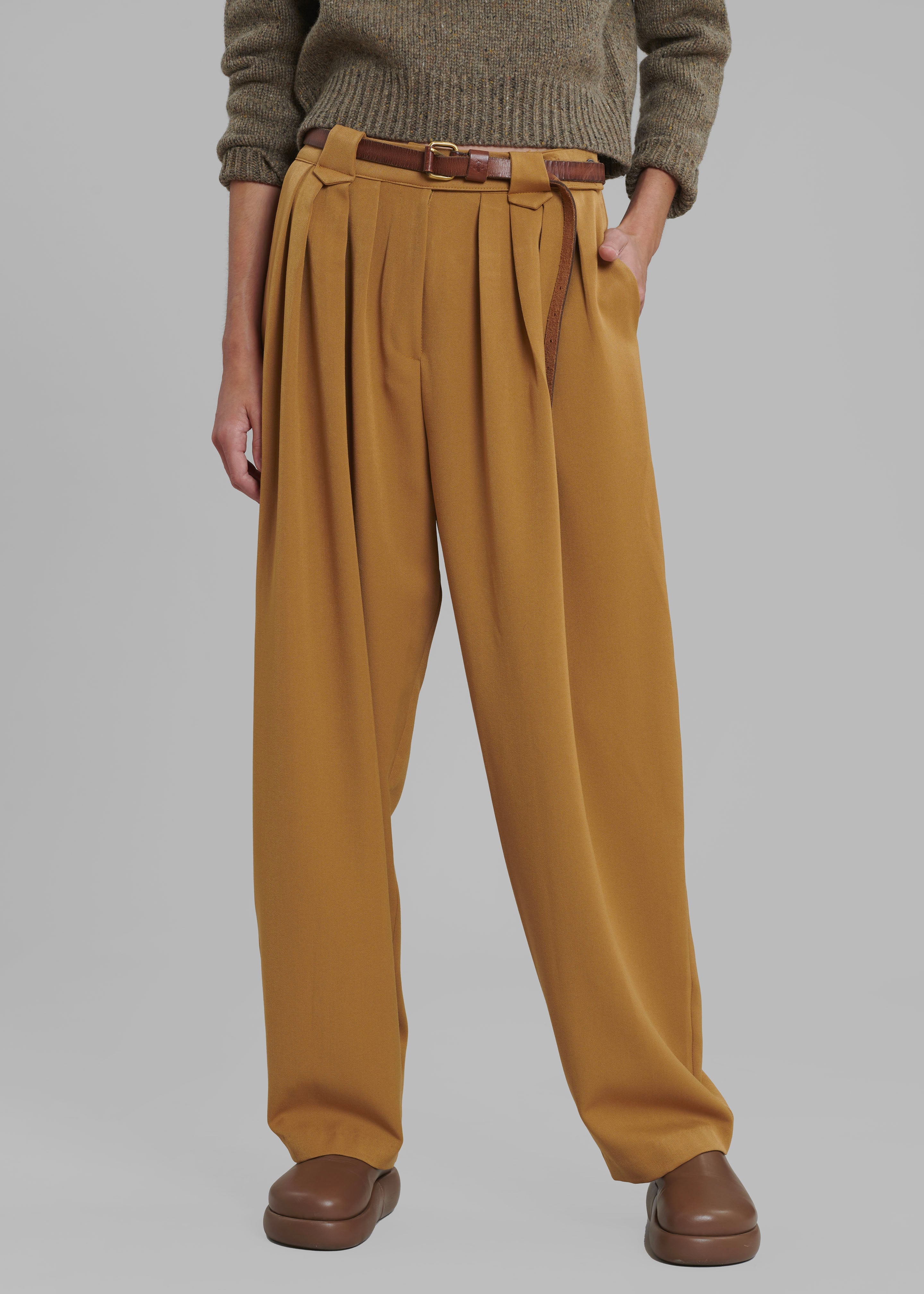 Luce Pleated Pants - Ginger - 5
