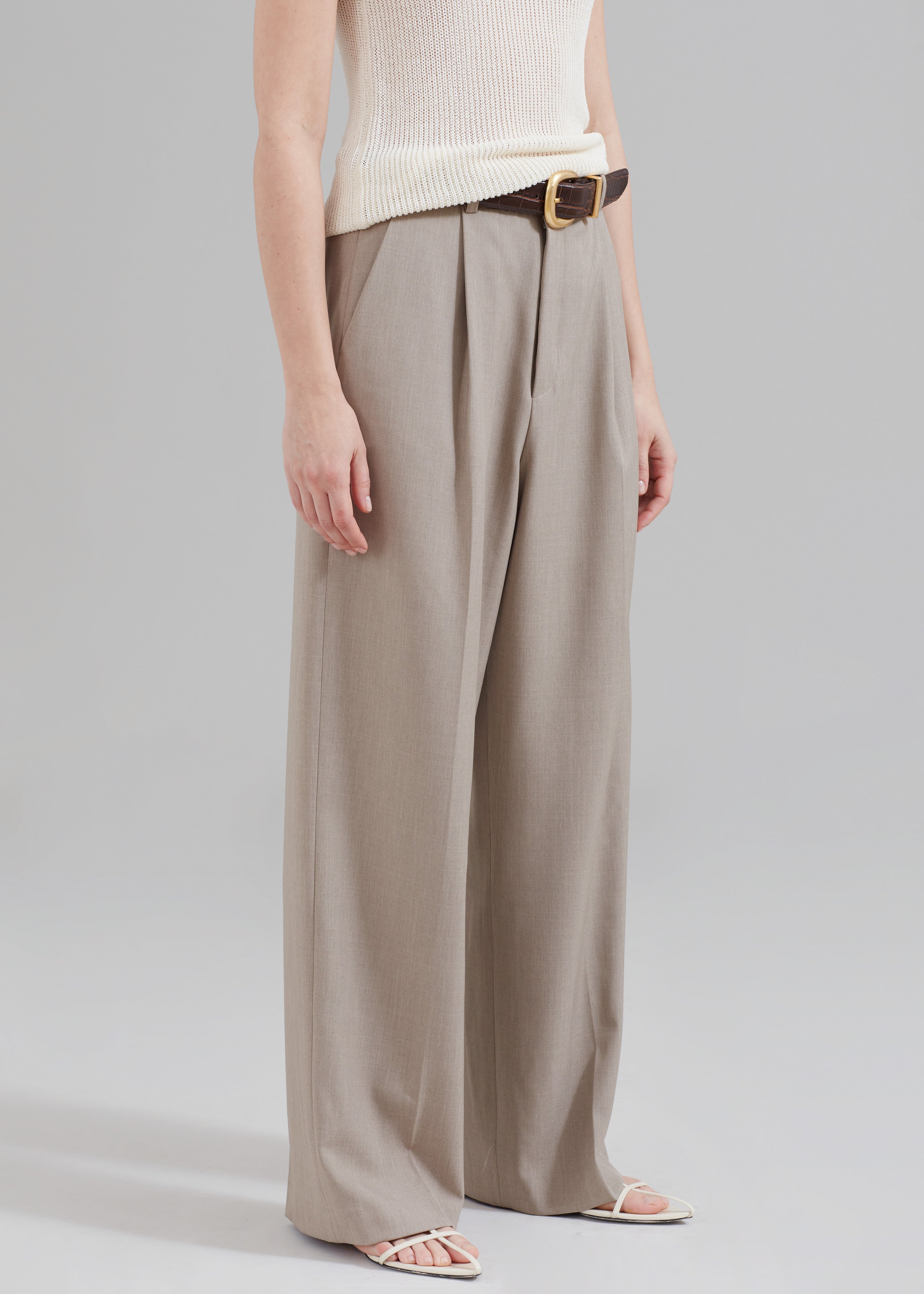 Nessi Pintuck Trousers - Taupe - 6